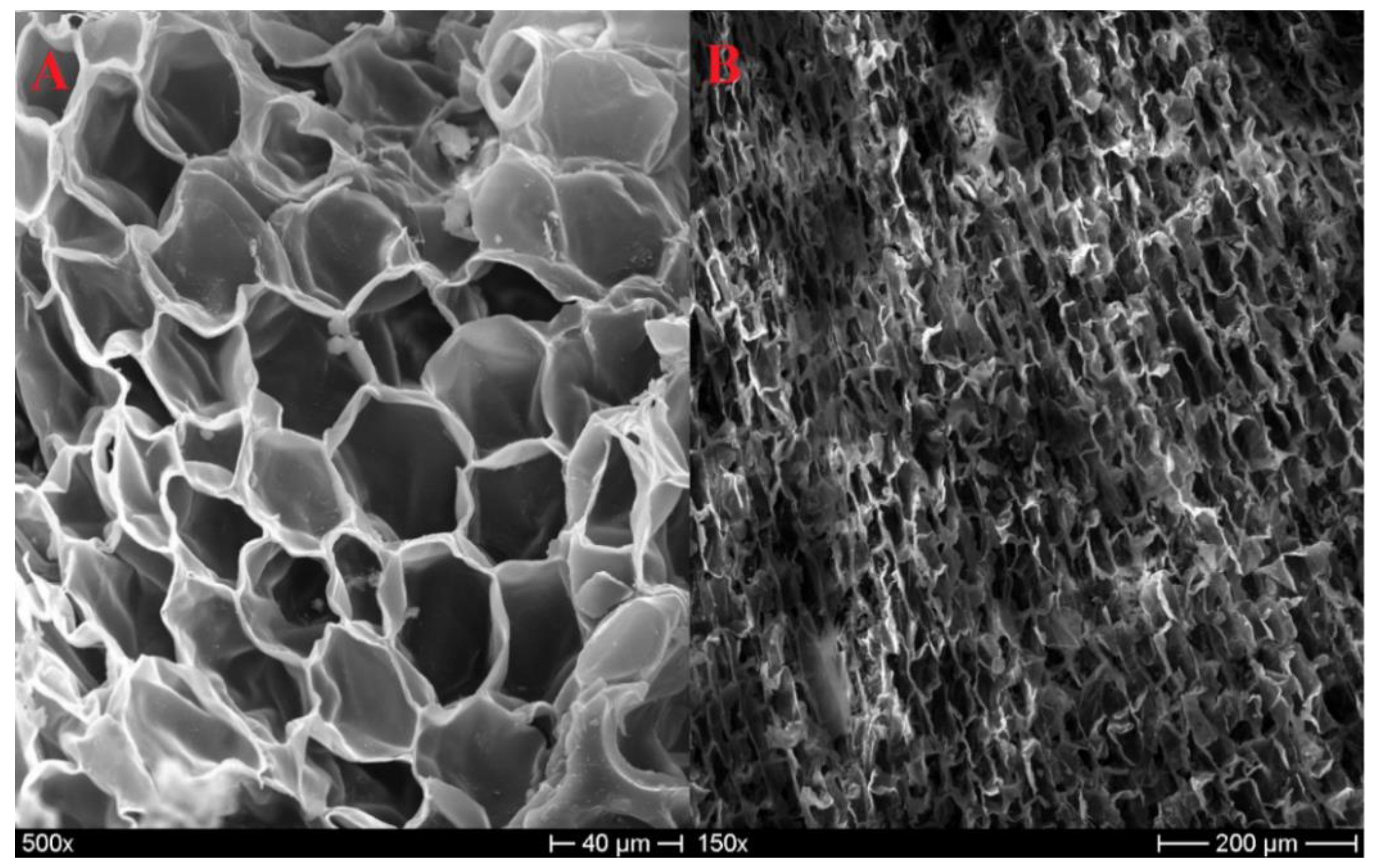 Polymers 11 02118 g002 Polymers 11 02118 g002