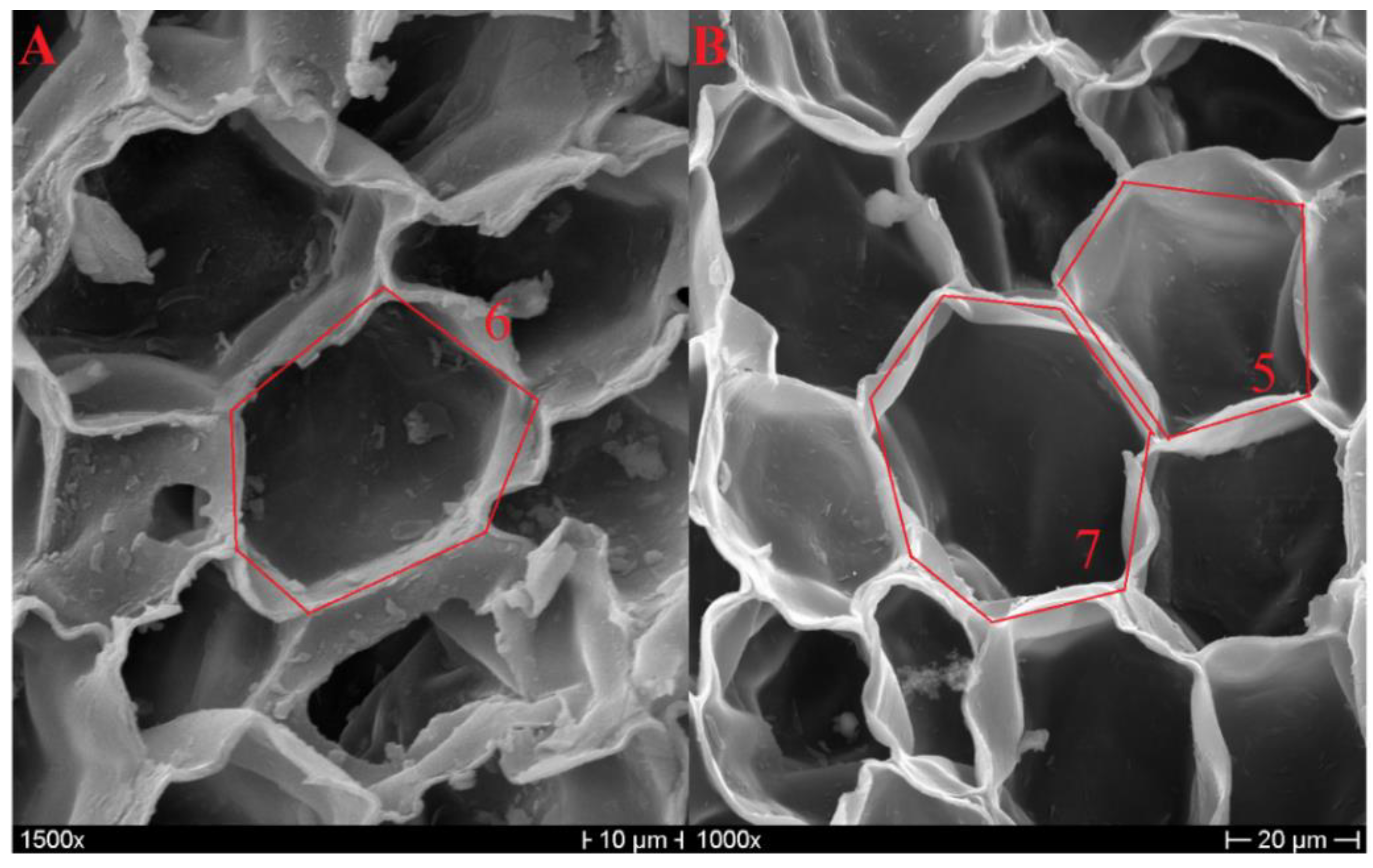 Polymers 11 02118 g003 Polymers 11 02118 g003