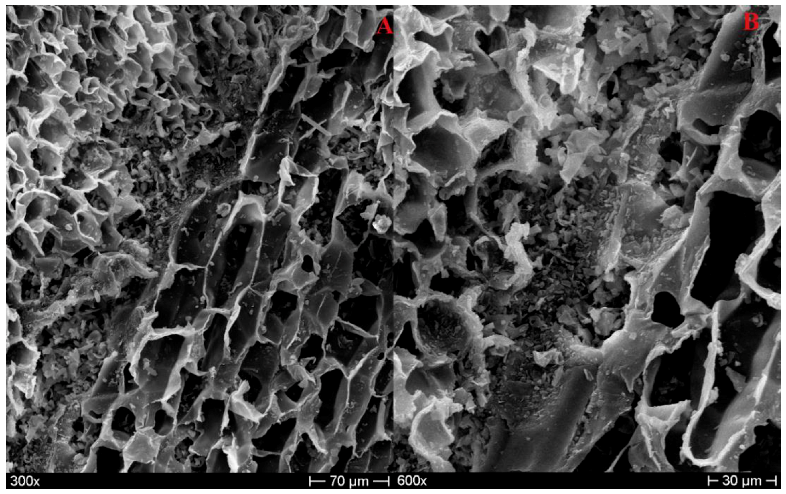 Polymers 11 02118 g005 Polymers 11 02118 g005