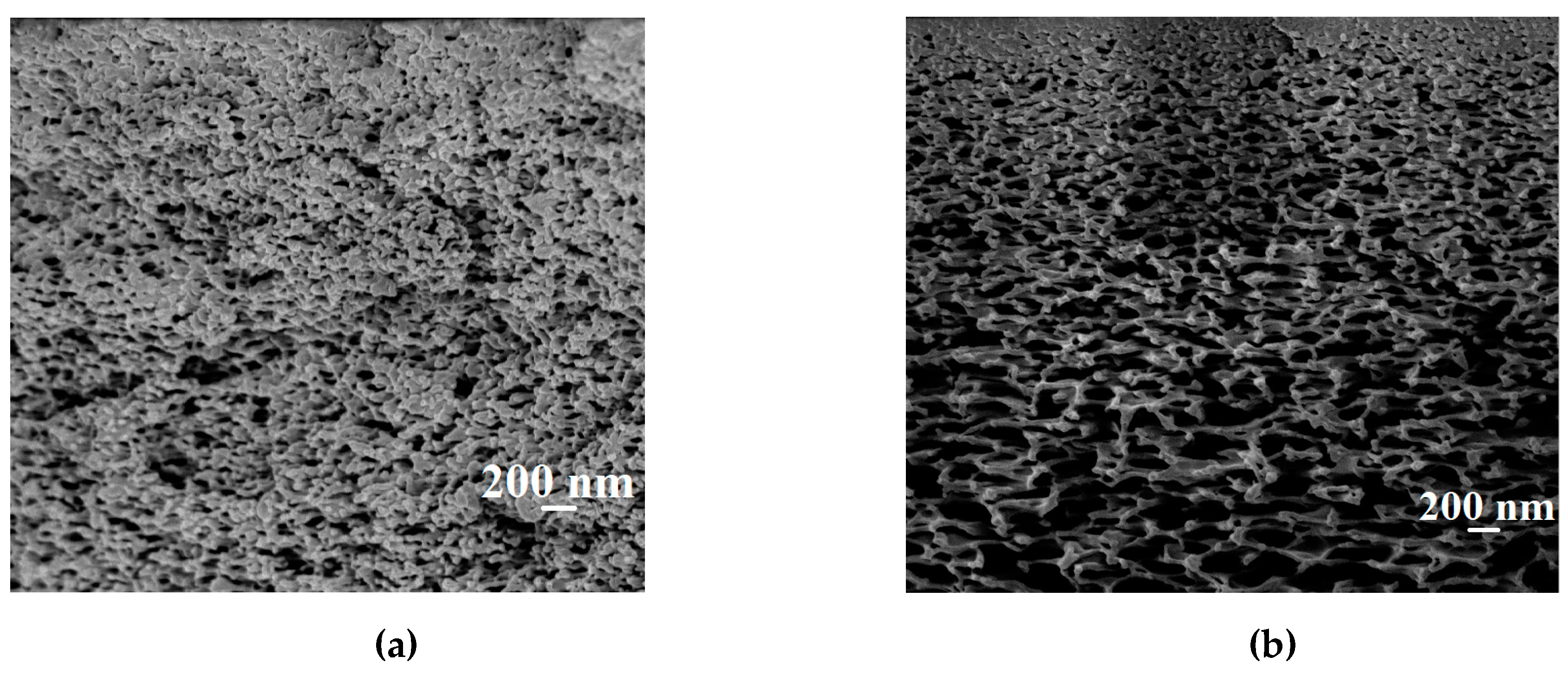 Polymers Free Full Text Enhanced Pervaporation Properties Of Pva Based Membranes Modified With Polyelectrolytes Application To Ipa Dehydration Html