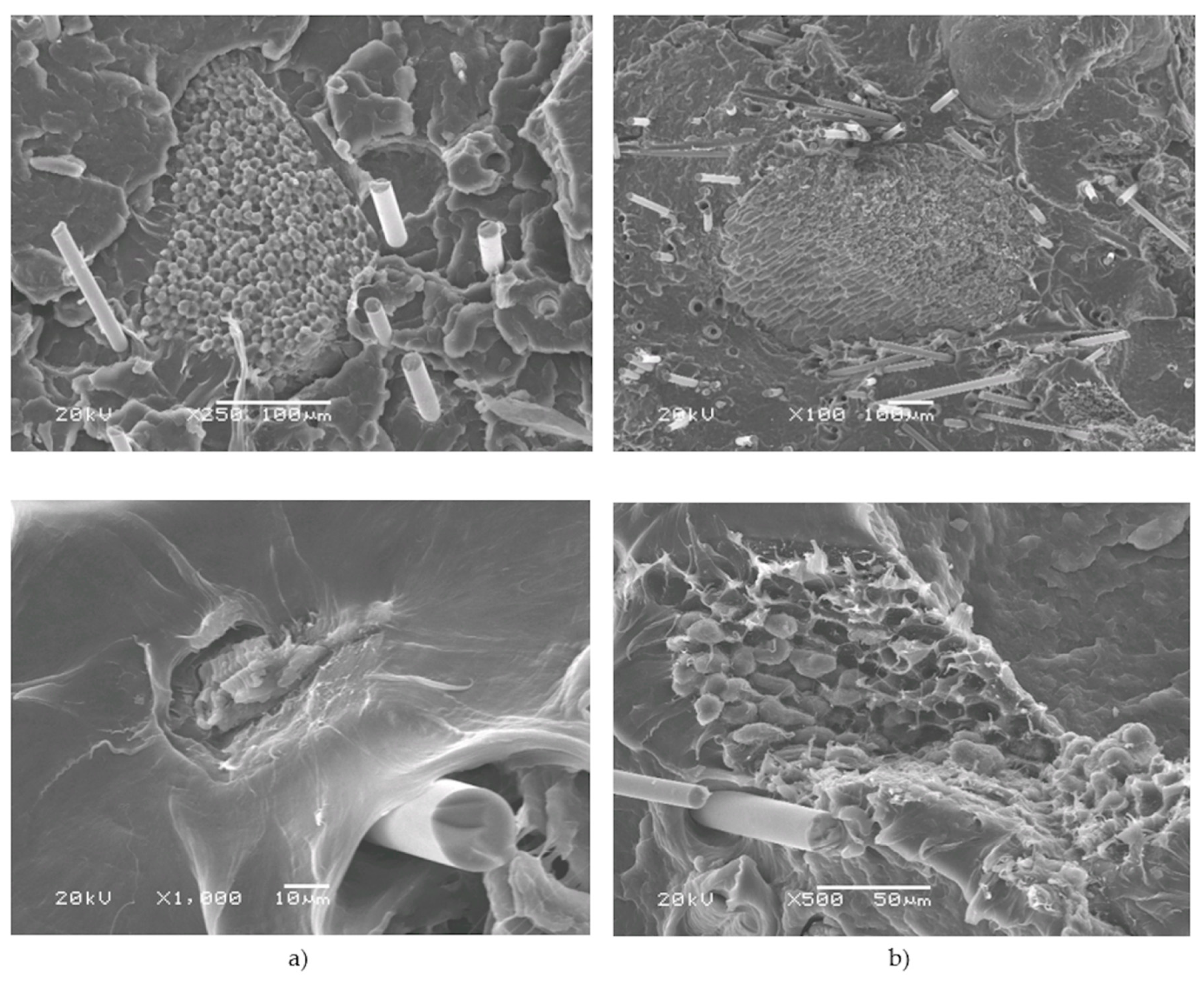 Polymers 12 00018 g011