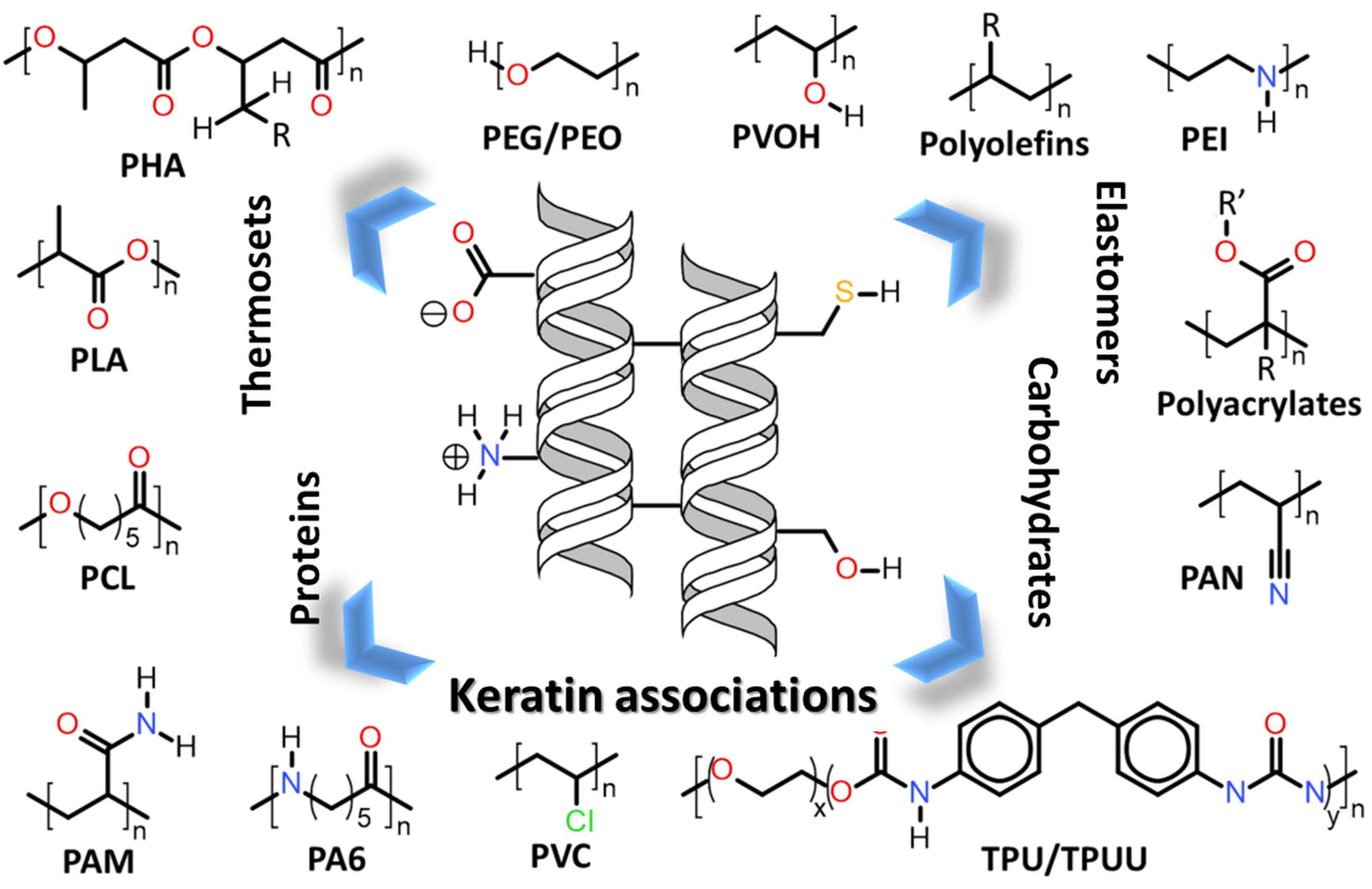 Polymers | Free Full-Text | Keratin Associations with Synthetic,  Biosynthetic and Natural Polymers: An Extensive Review | HTML