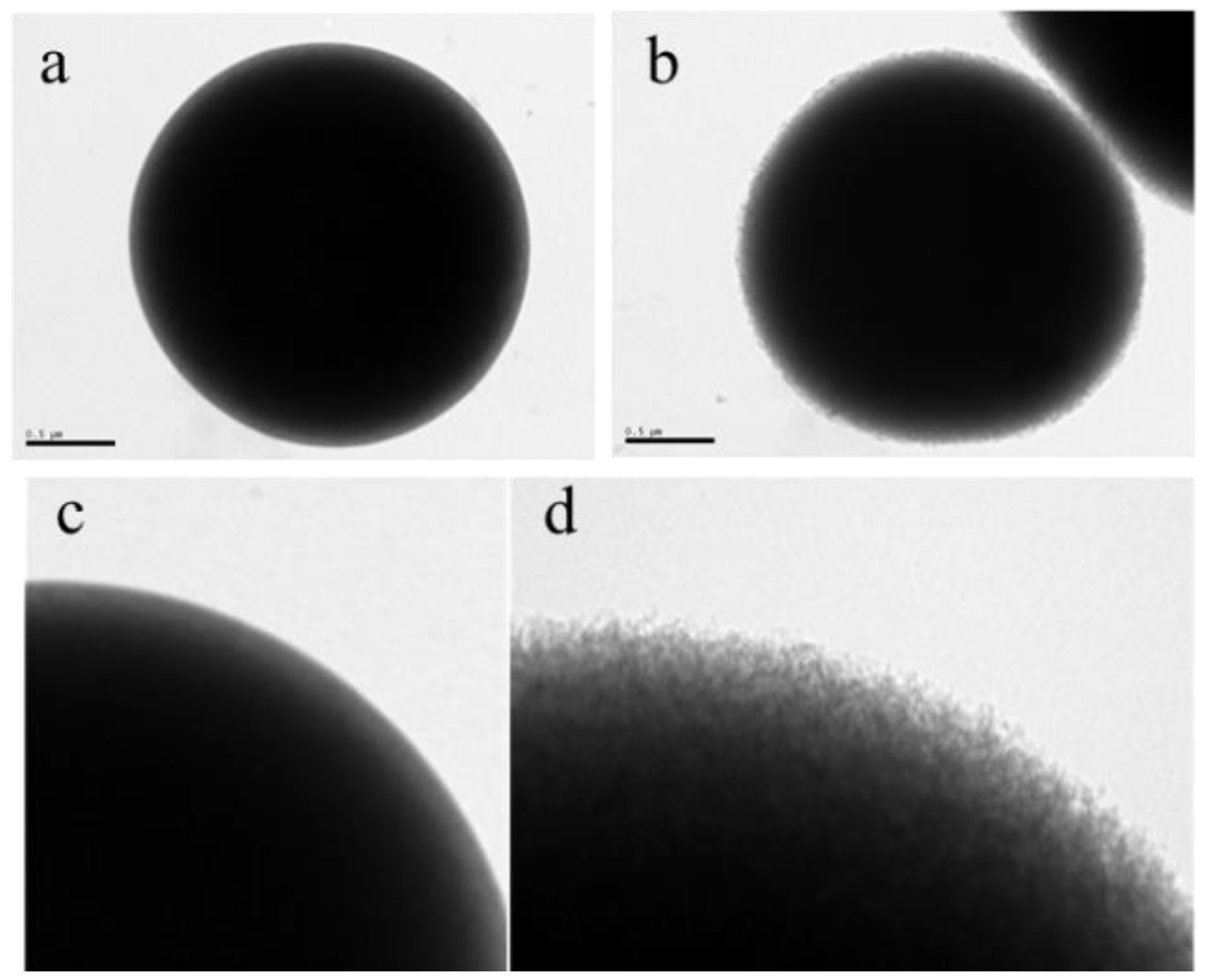 Polymers 12 00051 g002 Polymers 12 00051 g002