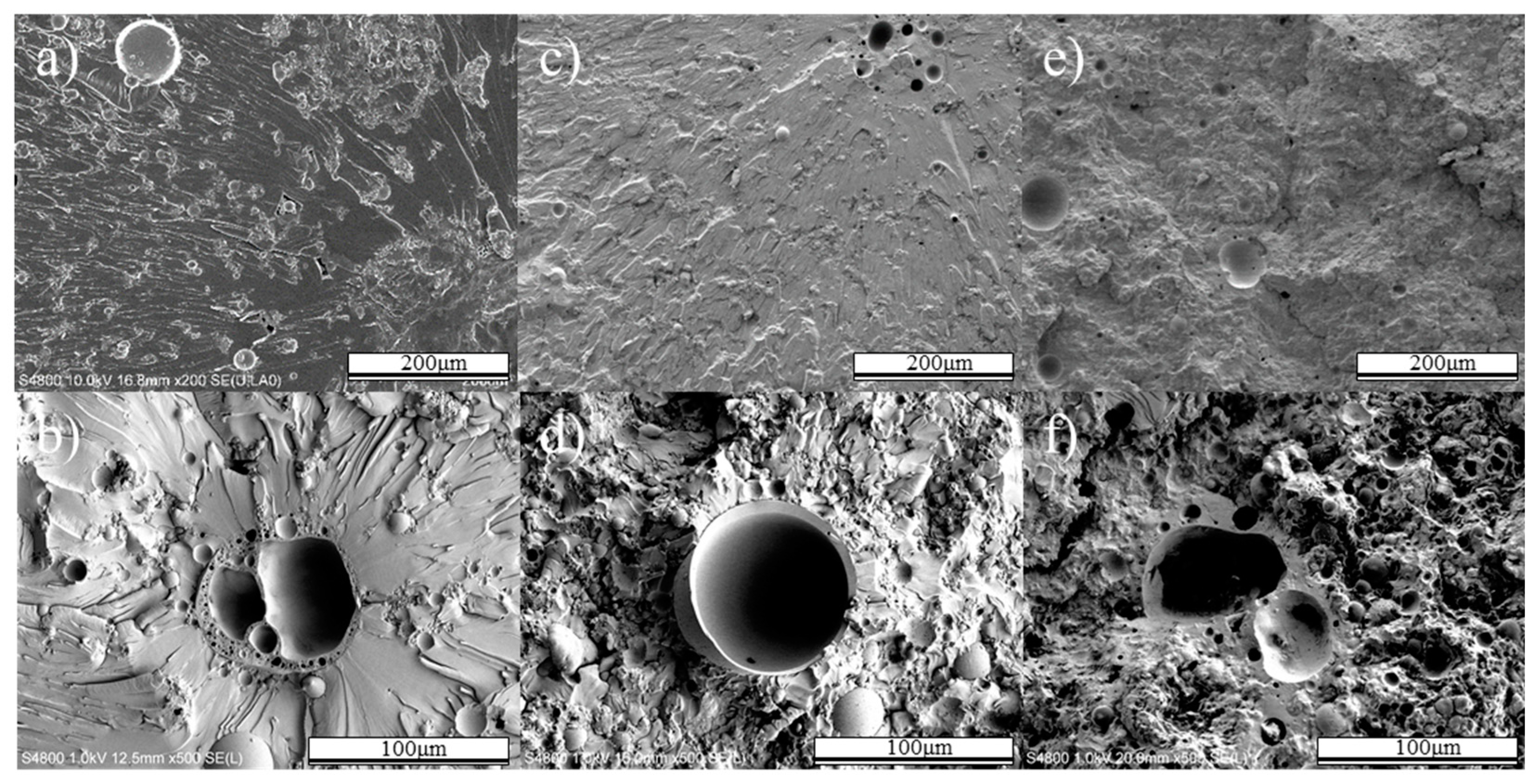 Polymers 12 00079 g008