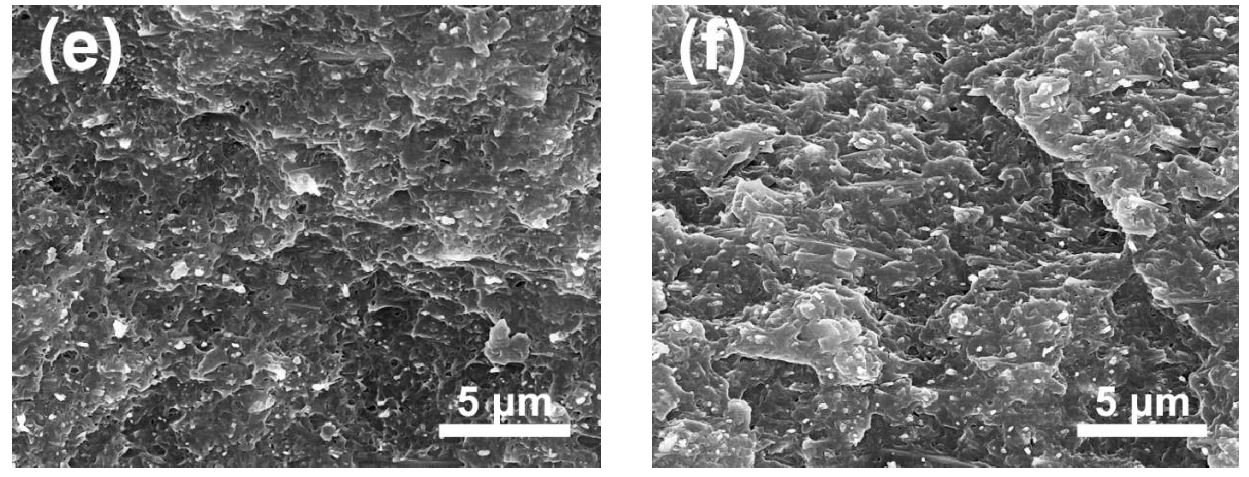 Polymers 12 00085 g004b