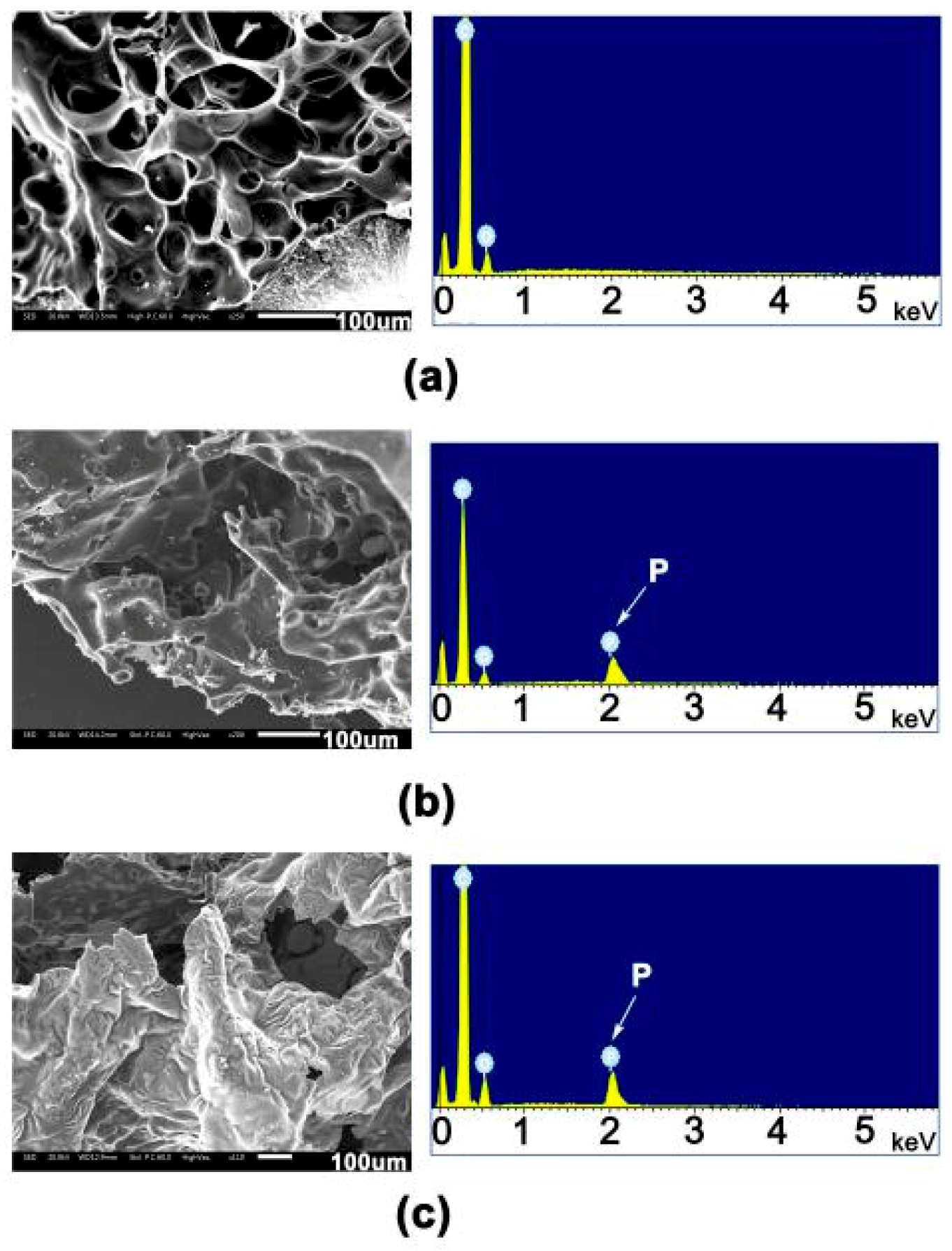 Polymers 12 00090 g010