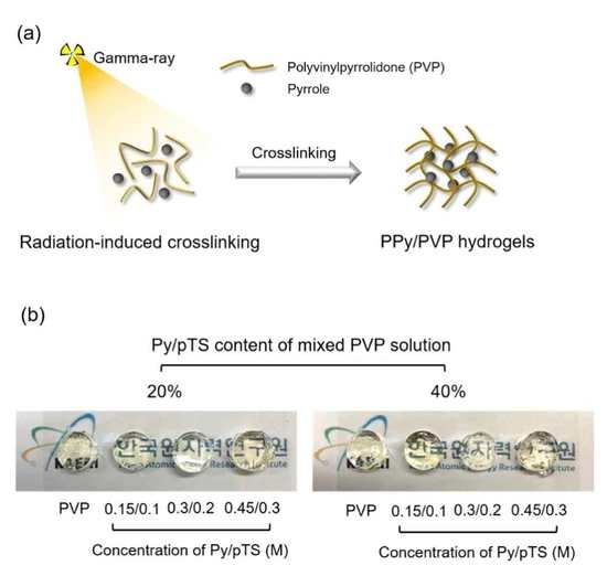 Polymers Free Full Text Gamma Ray Induced Polymerization And Cross Linking For Optimization Of Ppy Pvp Hydrogel As Biomaterial Html