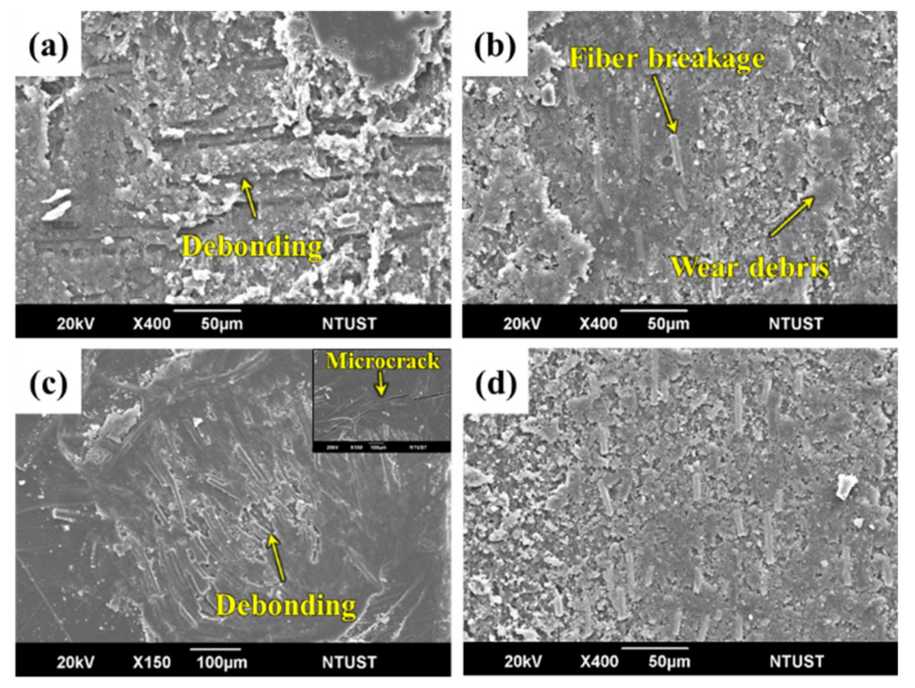 Polymers 12 00141 g011 Polymers 12 00141 g011