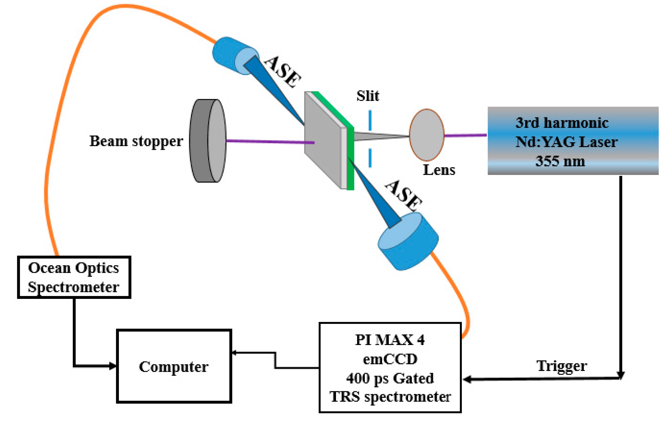Polymers 12 00232 g002