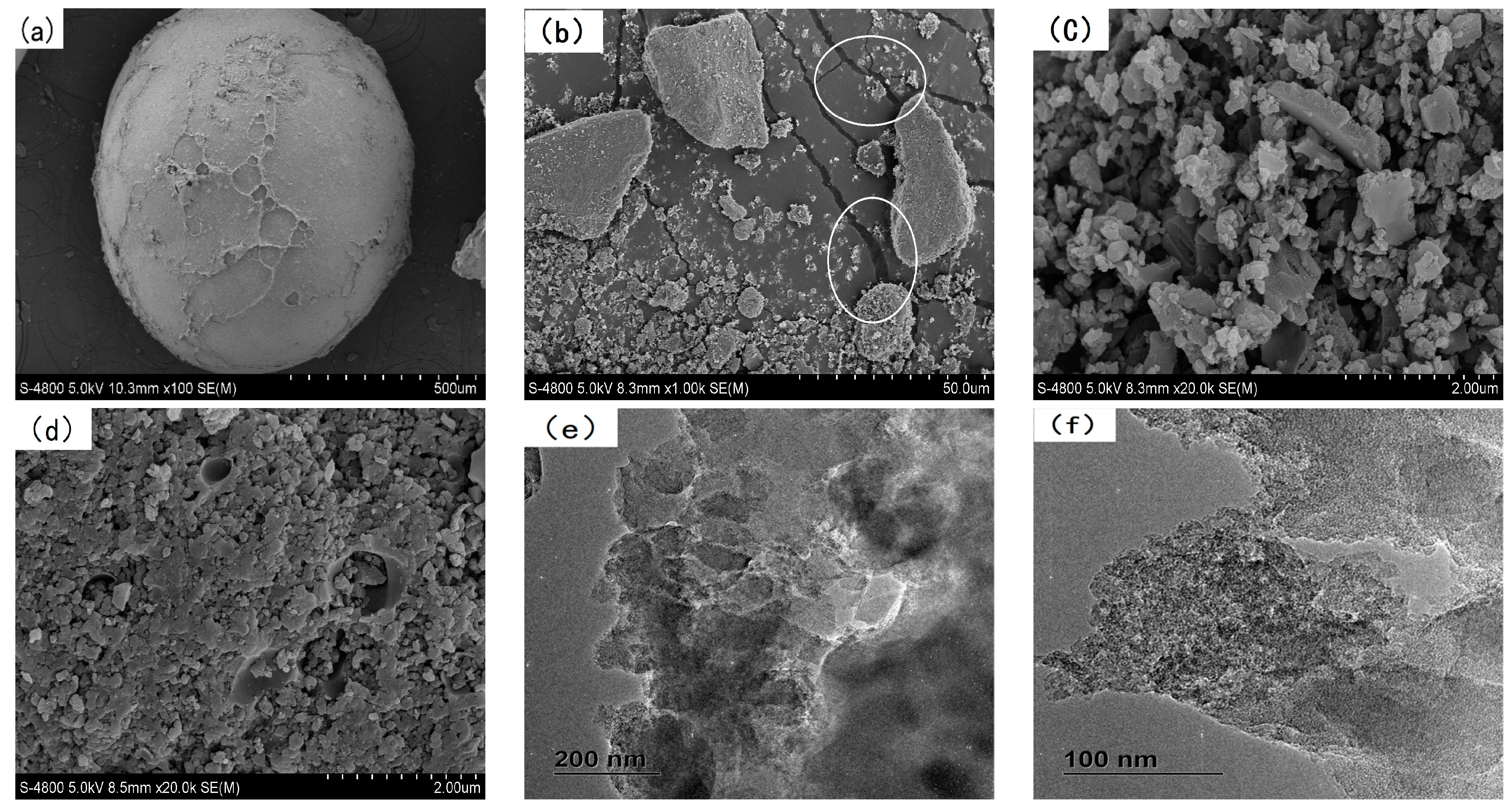 Polymers 12 00236 g003 Polymers 12 00236 g003