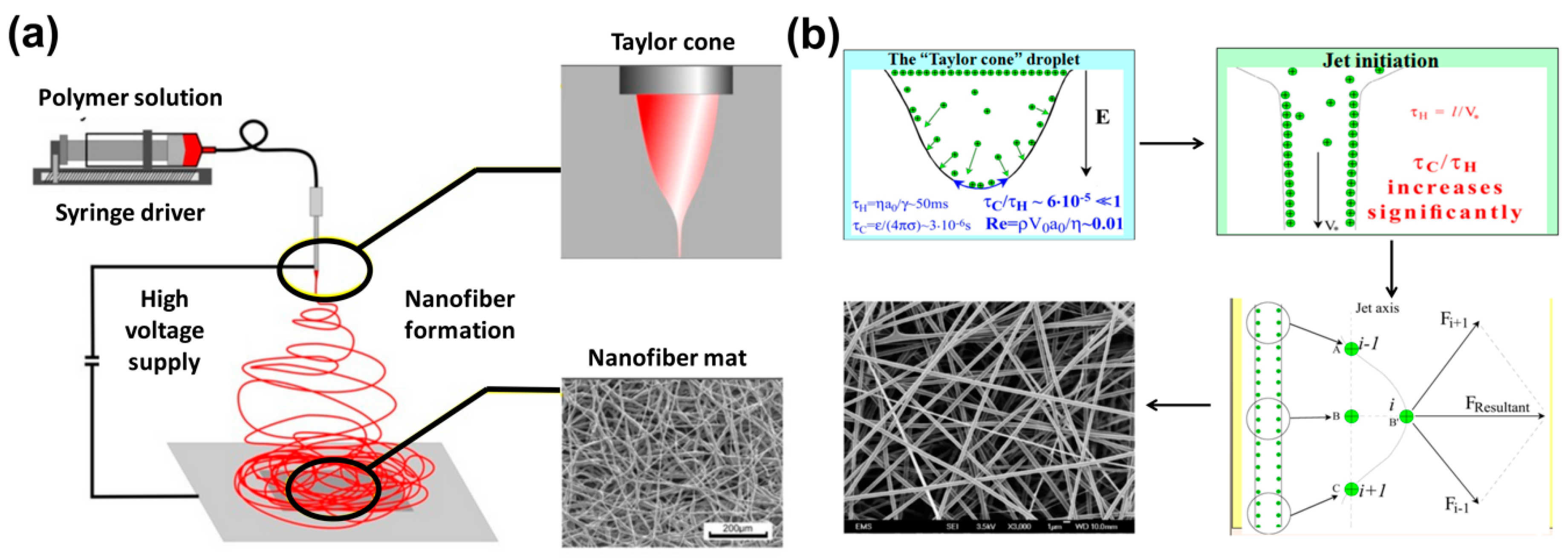 Polymers 12 00238 g004 Polymers 12 00238 g004