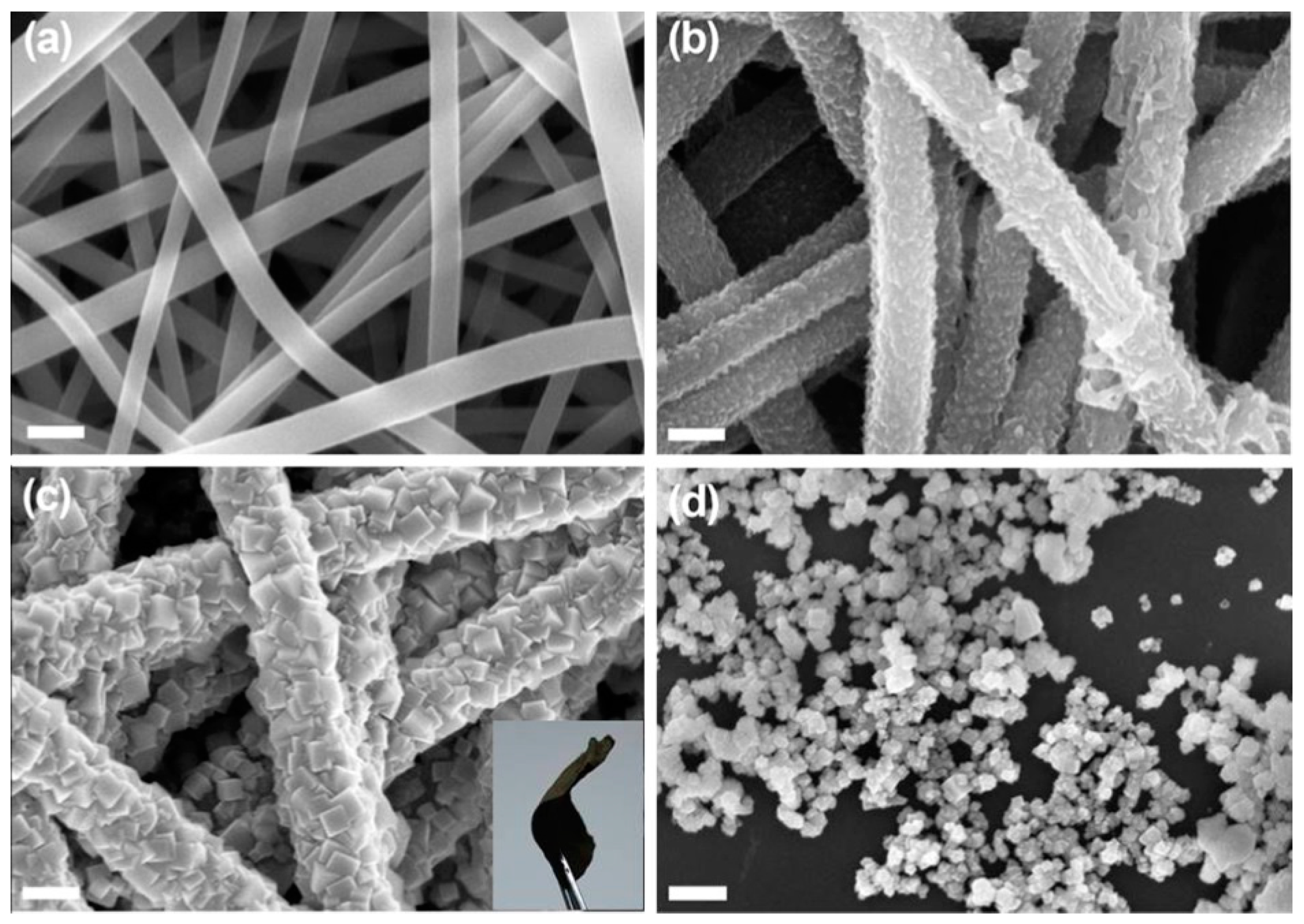 Polymers 12 00238 g006 Polymers 12 00238 g006