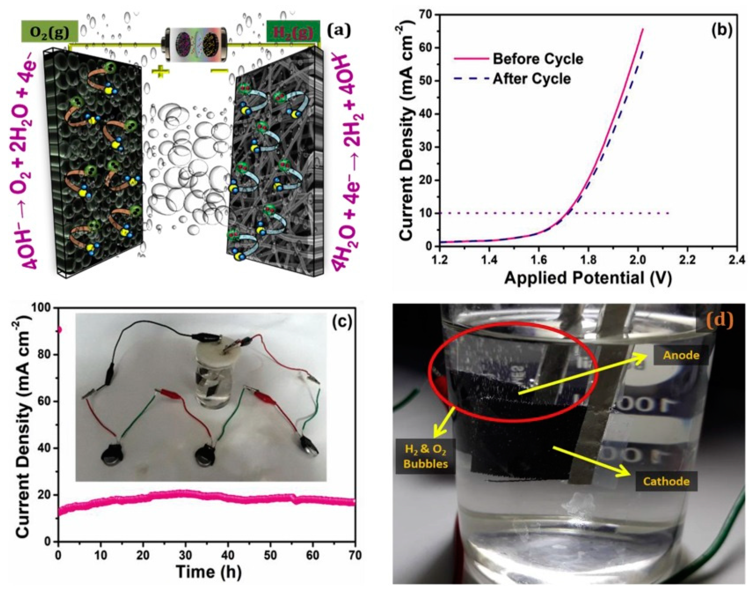 Polymers 12 00238 g011 Polymers 12 00238 g011