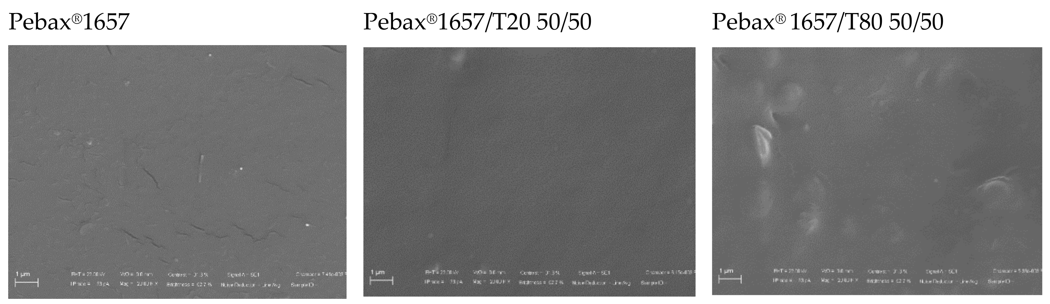 Polymers 12 00253 g003 Polymers 12 00253 g003