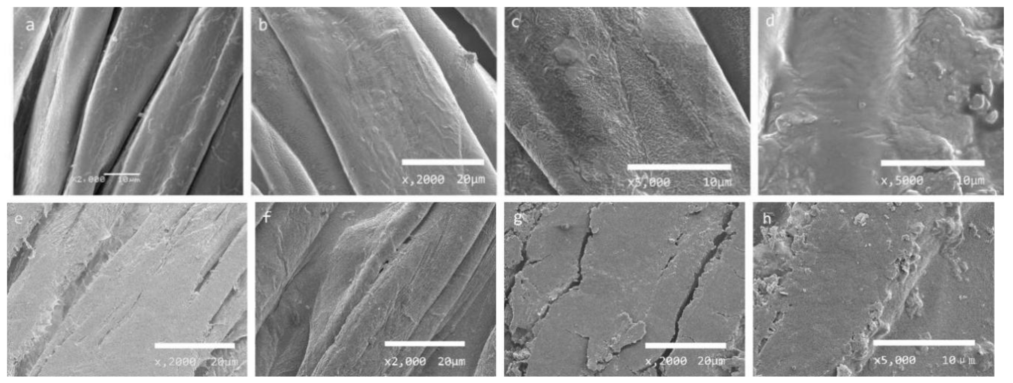 Polymers 12 00259 g003 Polymers 12 00259 g003