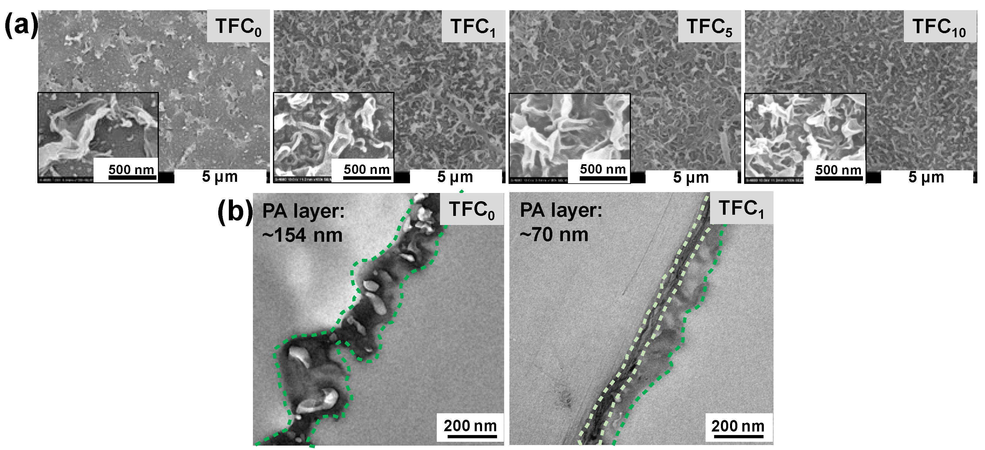 Polymers 12 00260 g004 Polymers 12 00260 g004