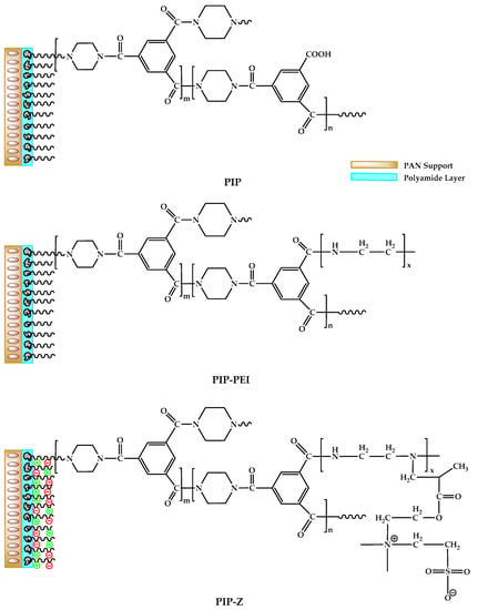 Polymers Free Full Text Zwitterion Co Polymer Pei Sbma Nanofiltration Membrane Modified By Fast Second Interfacial Polymerization Html