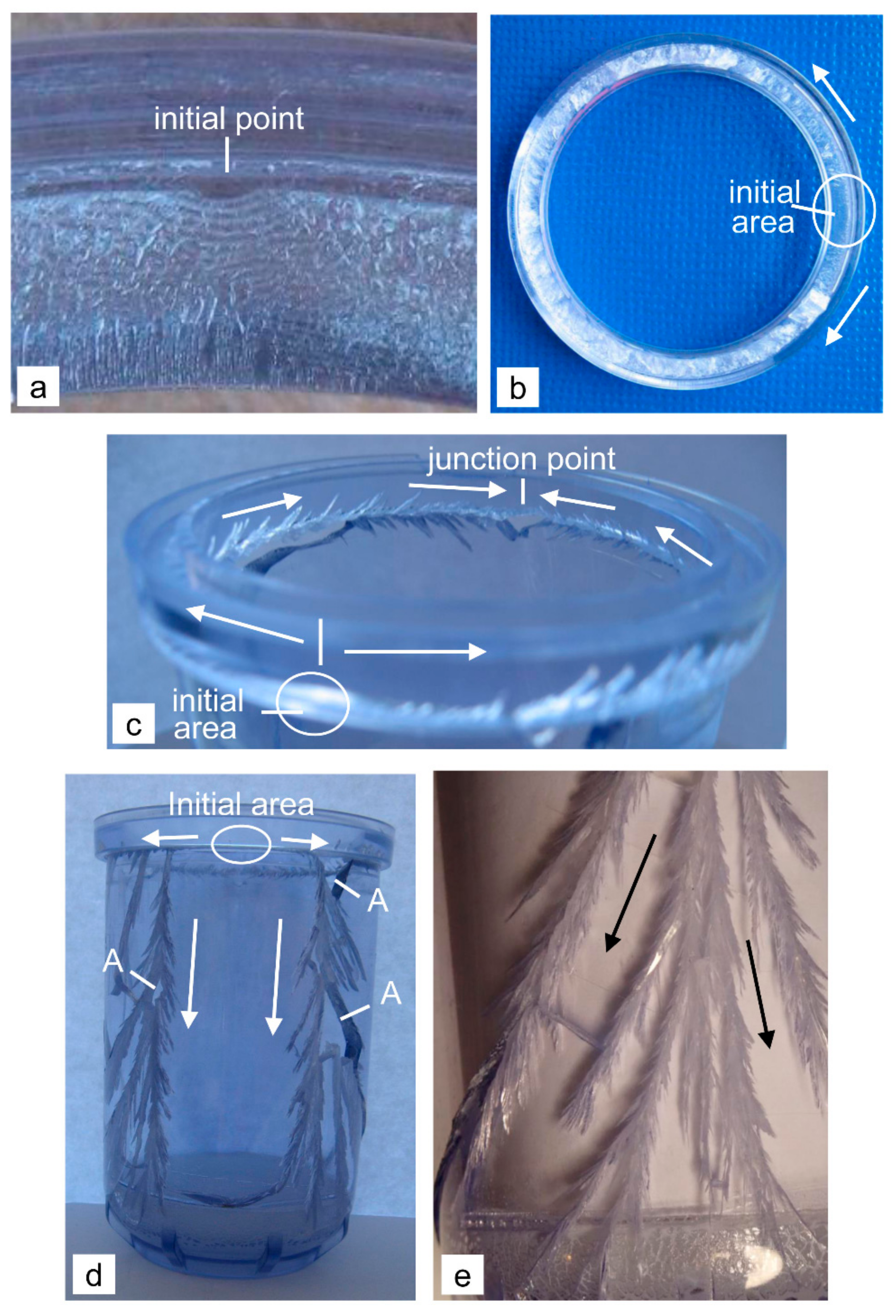 Polymers 12 00280 g005
