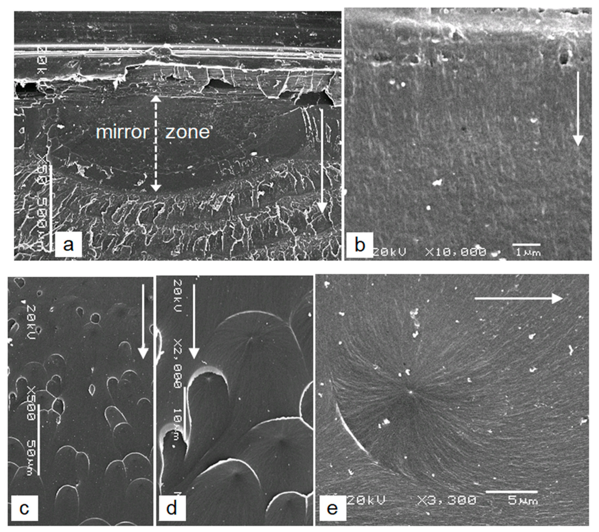 Polymers 12 00280 g007