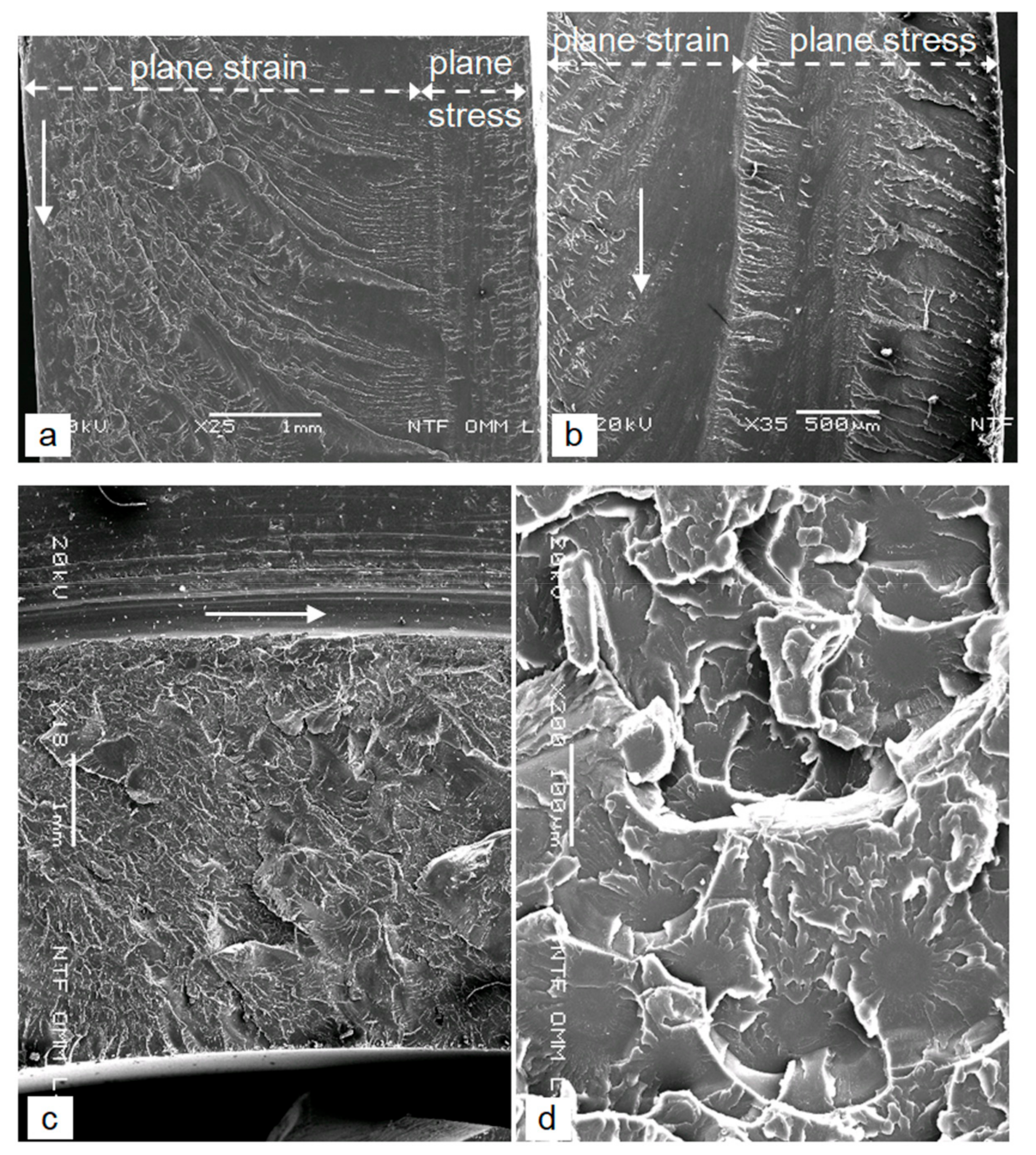 Polymers 12 00280 g008