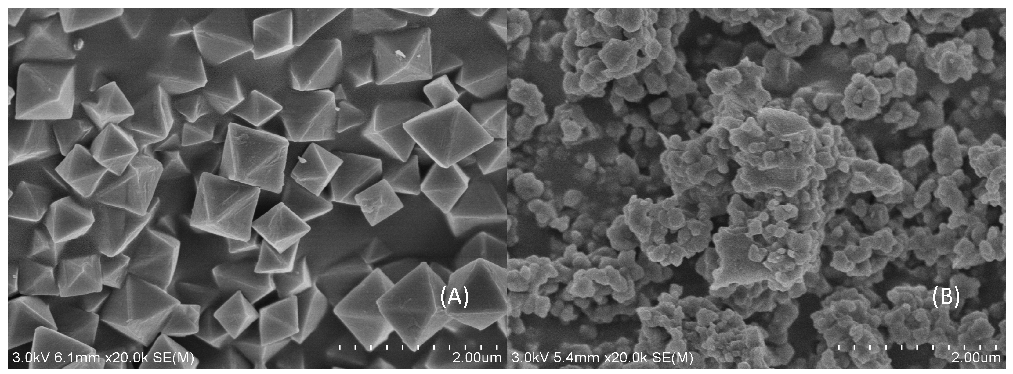 Polymers 12 00281 g001