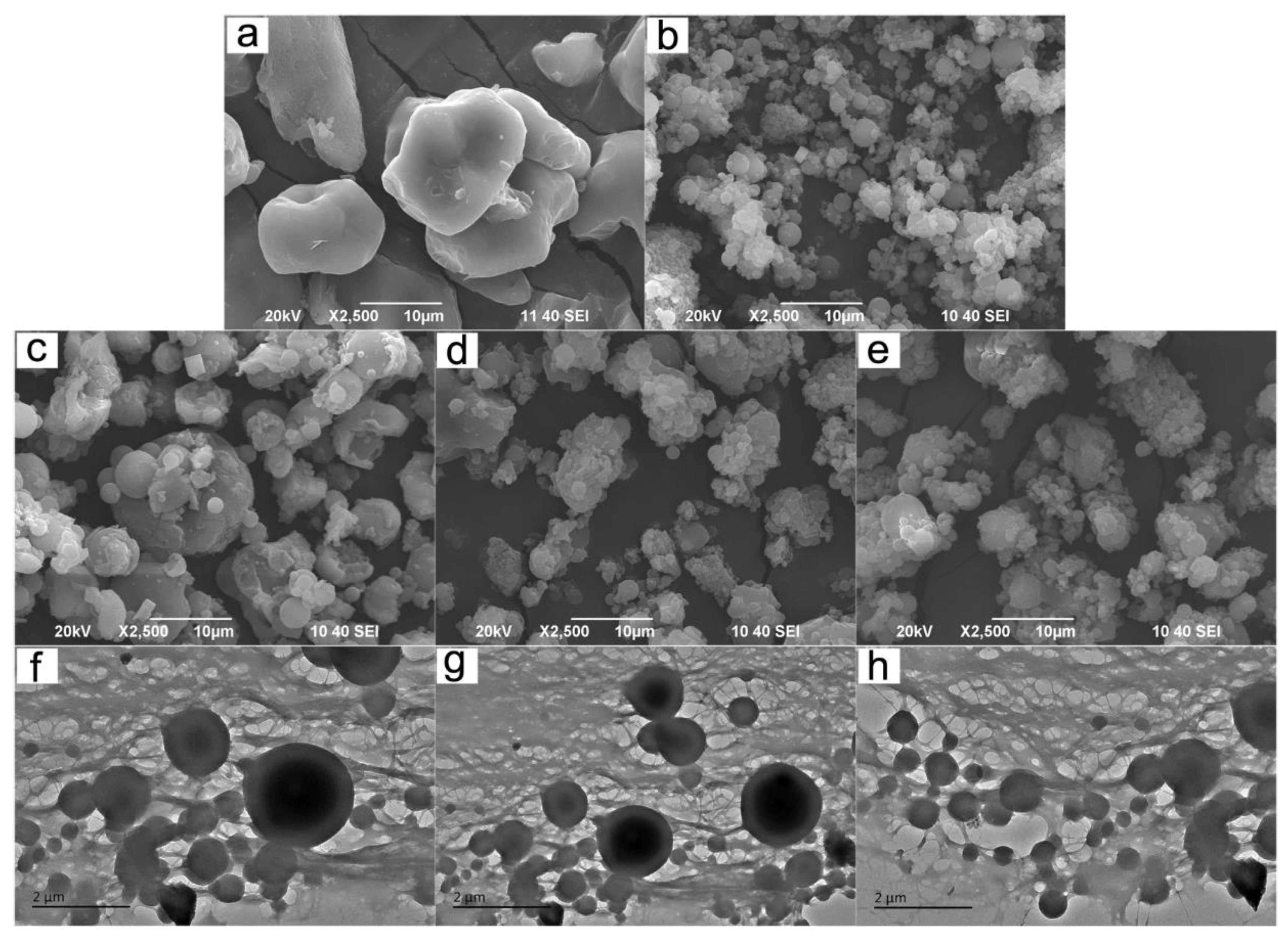 Polymers 12 00289 g005