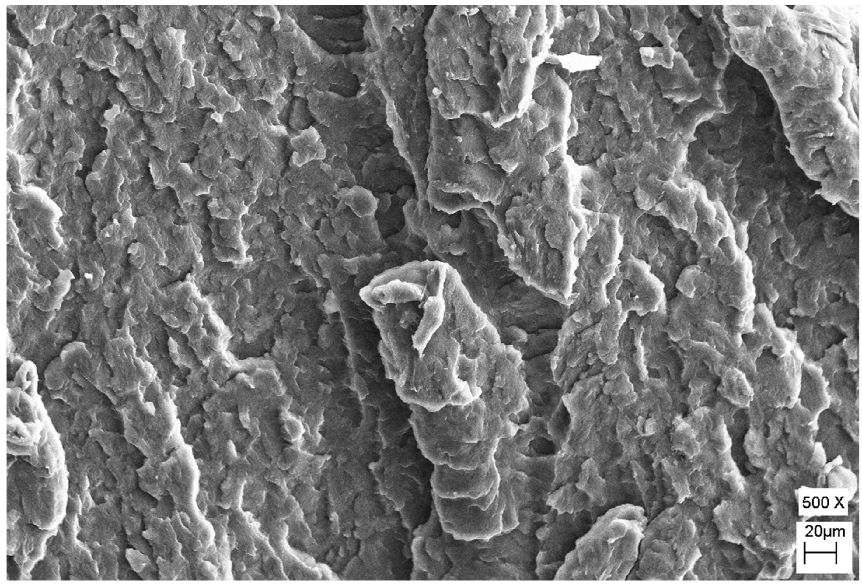 Polymers 12 00293 g0a1 Polymers 12 00293 g0a1