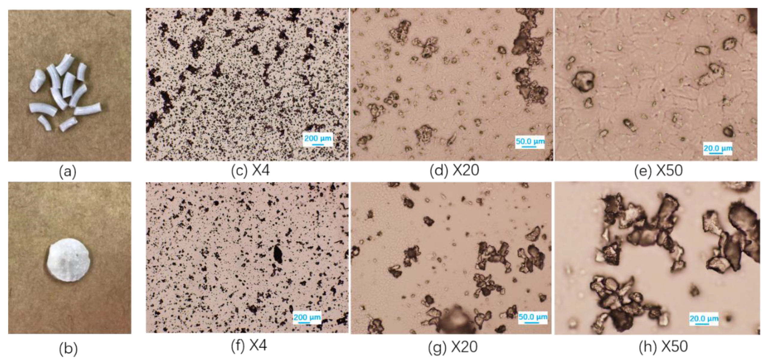 Polymers 12 00301 g005