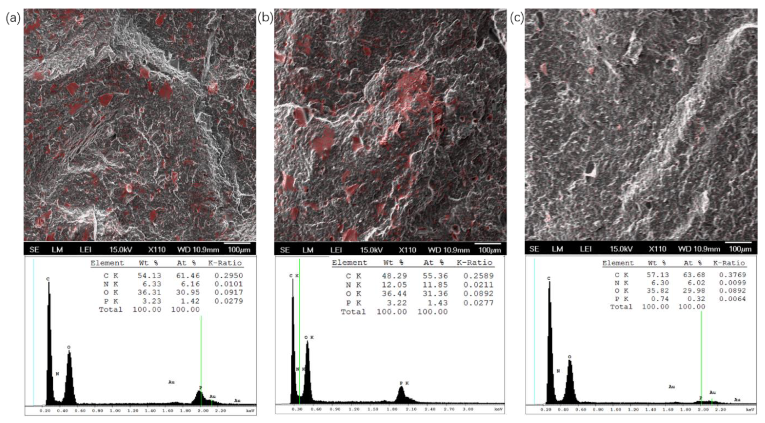 Polymers 12 00301 g007