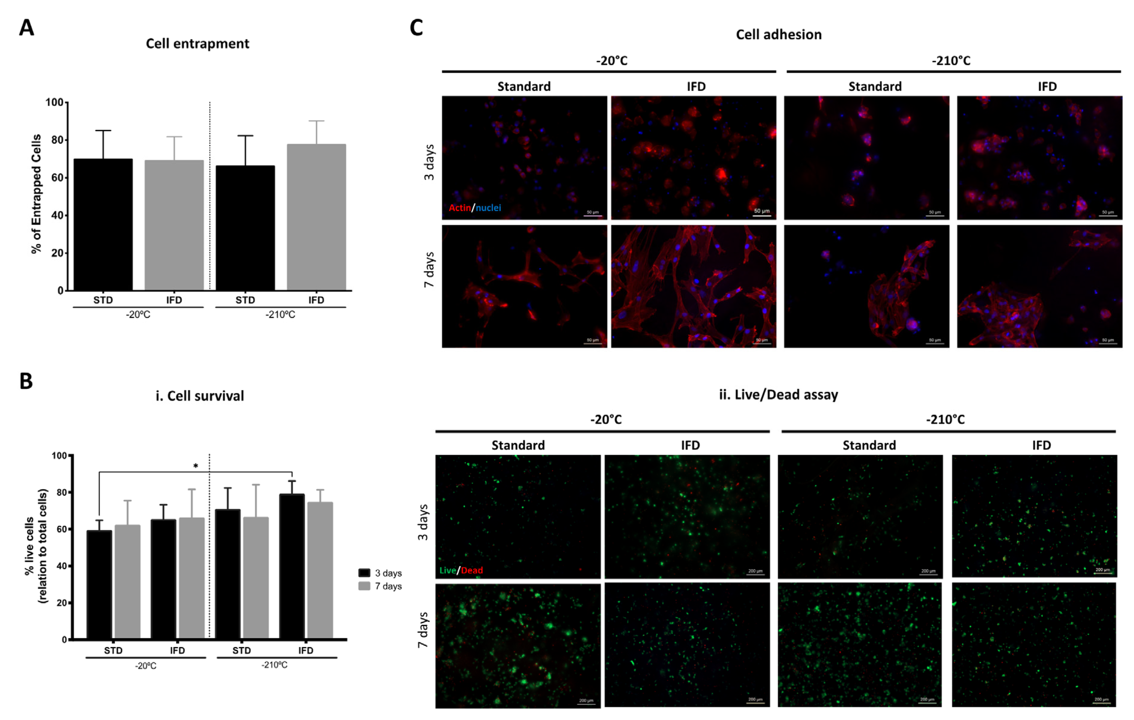Polymers 12 00329 g005