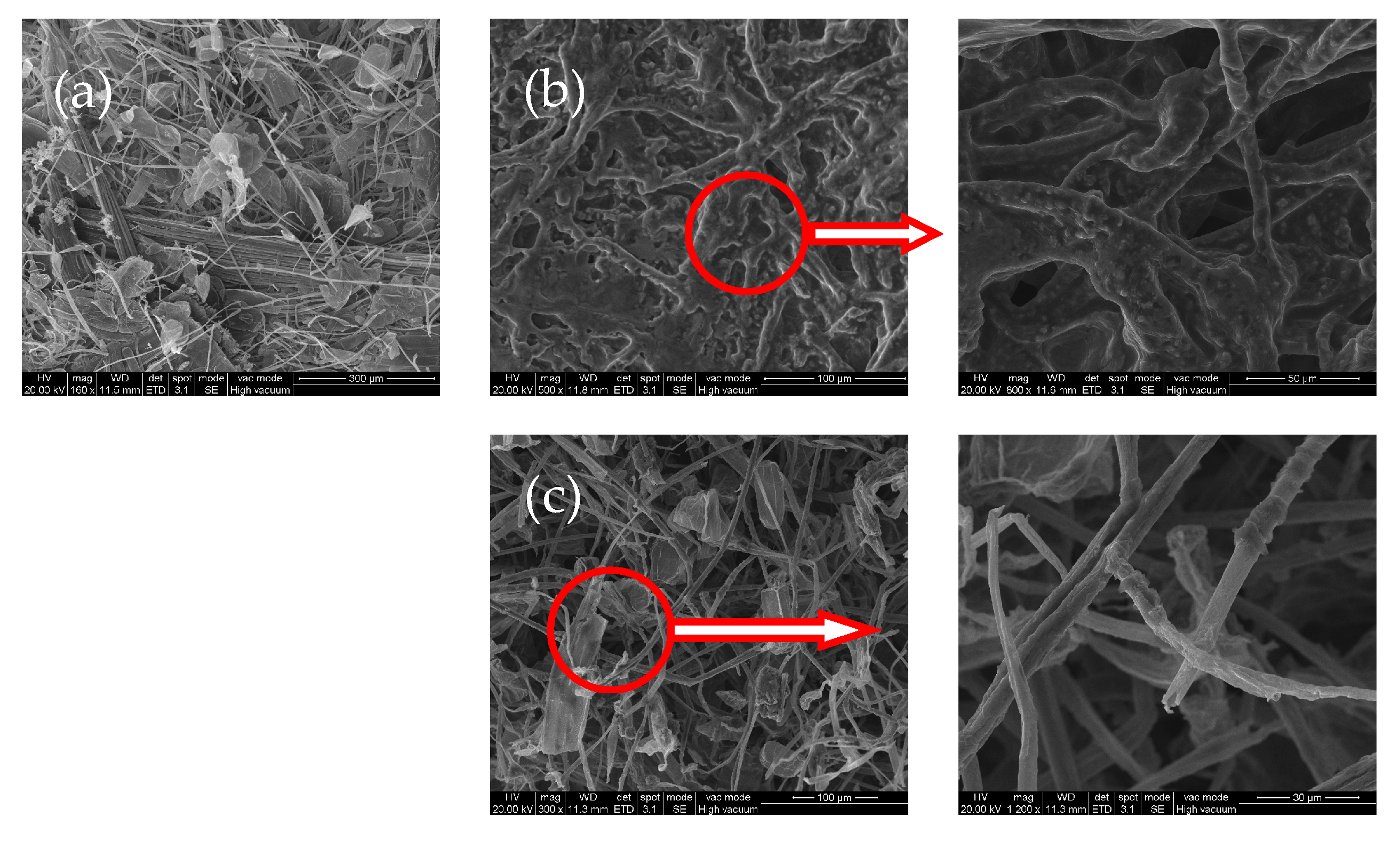 Polymers 12 00336 g001