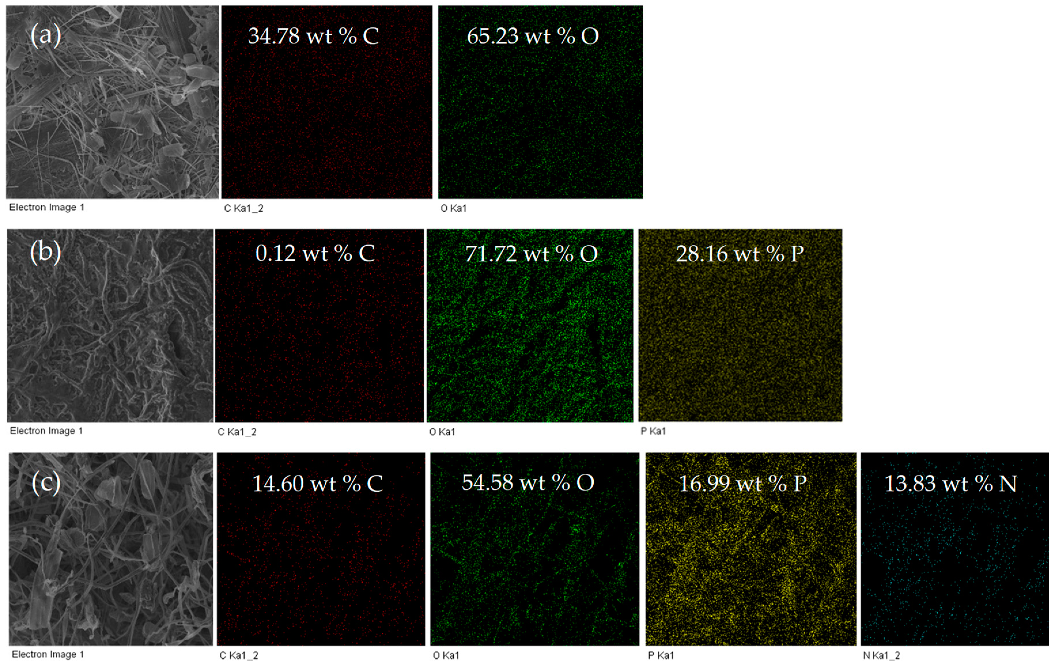 Polymers 12 00336 g002