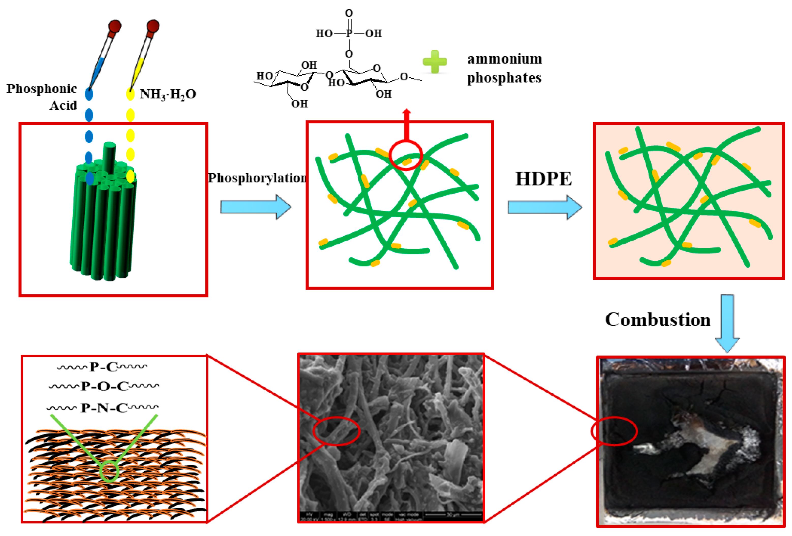 Polymers 12 00336 sch002