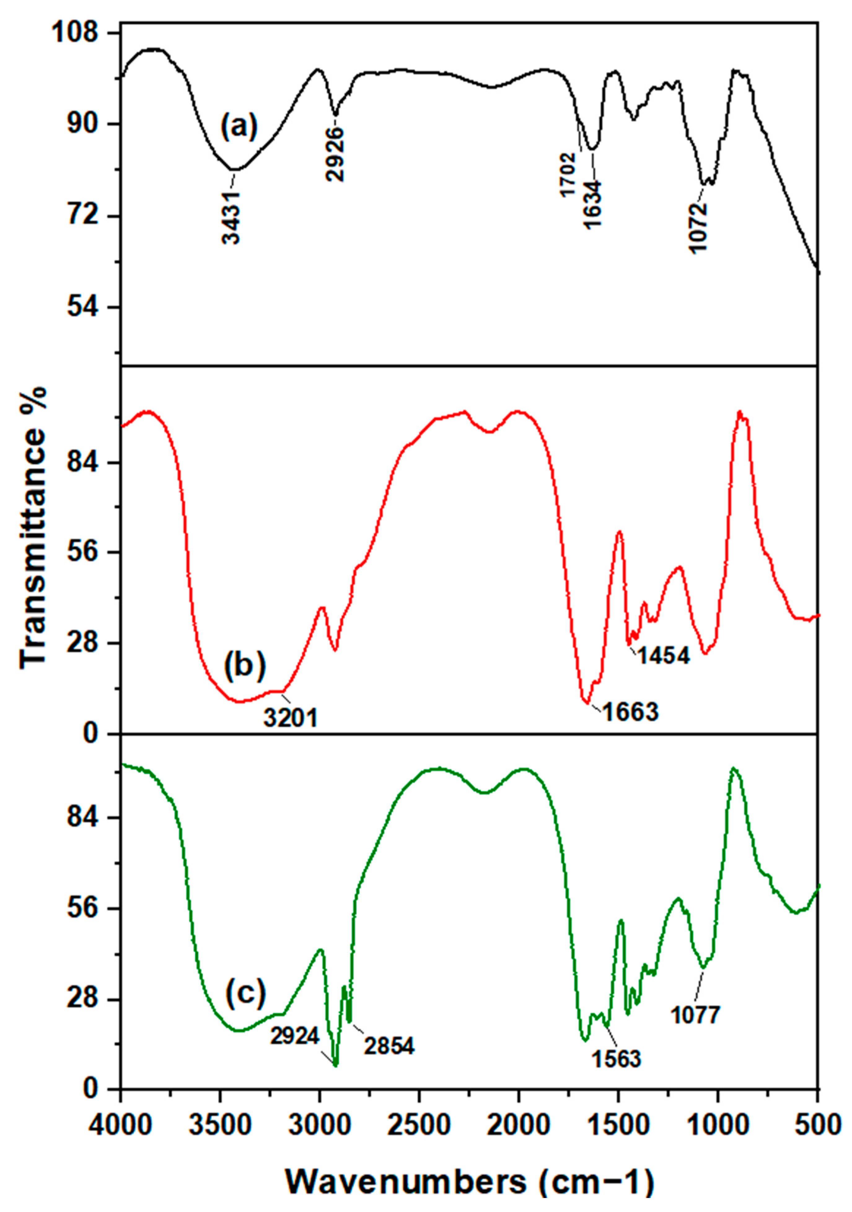 Polymers 12 00338 g001