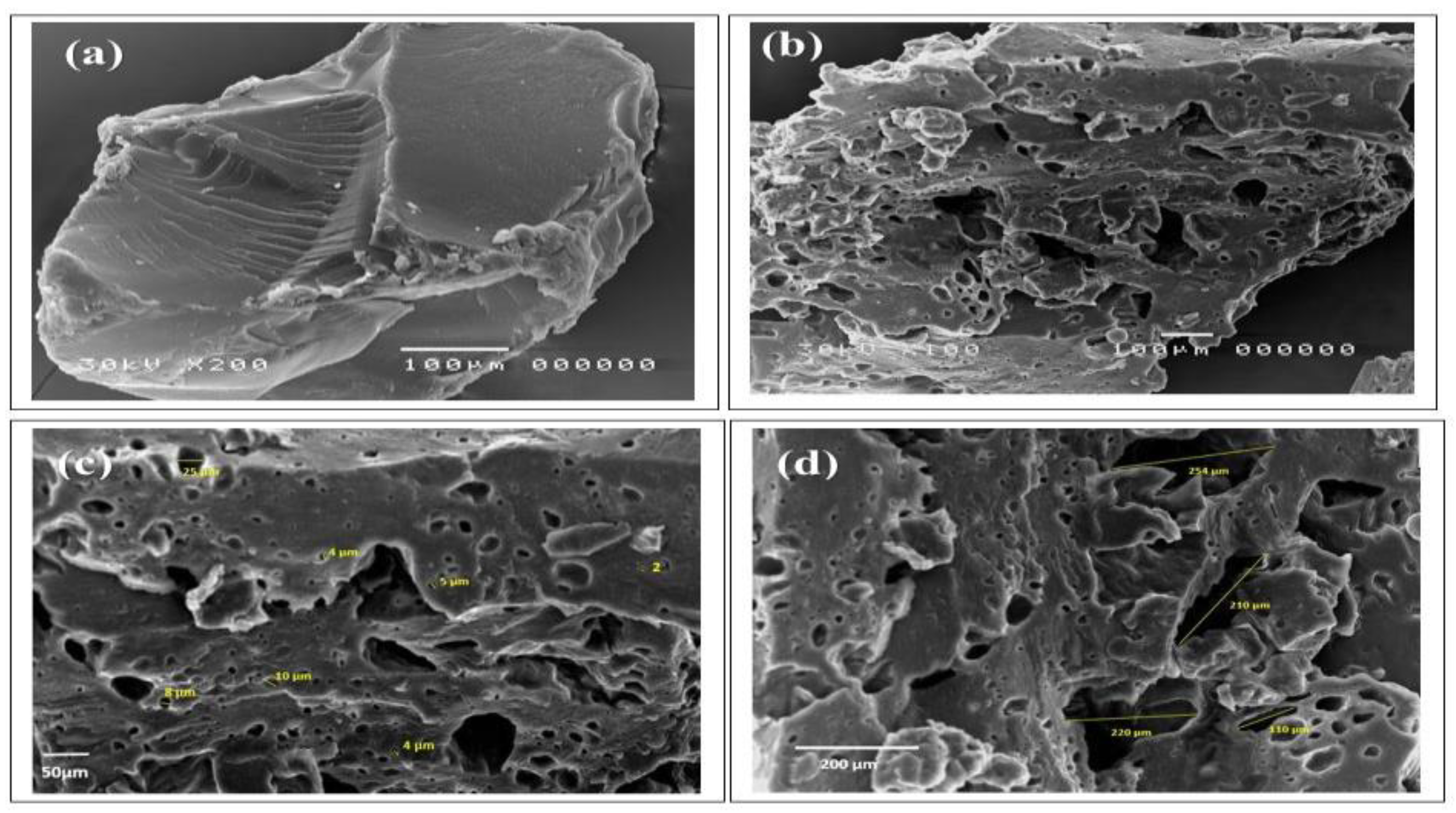 Polymers 12 00338 g002