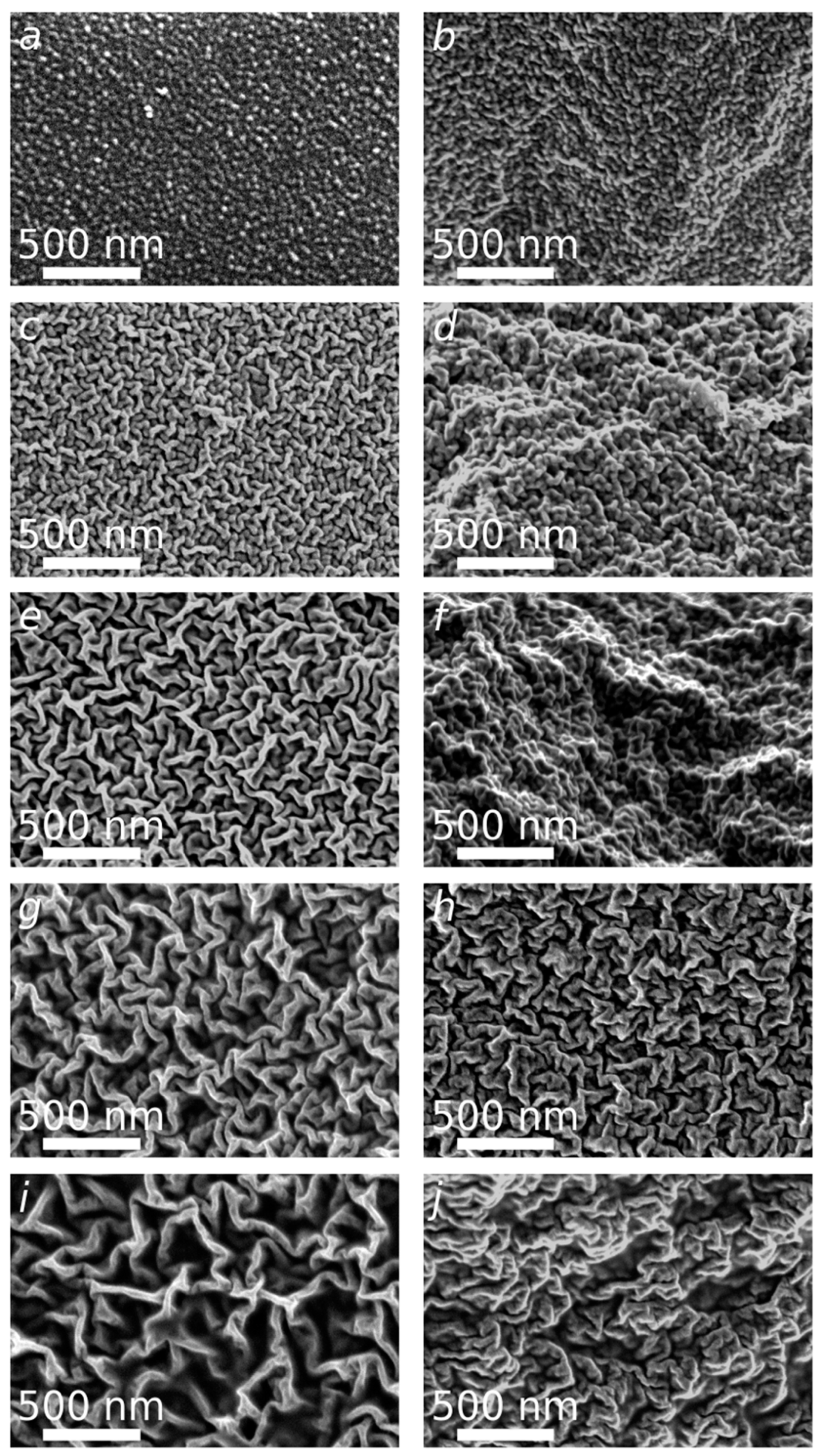 Polymers 12 00350 g003 Polymers 12 00350 g003