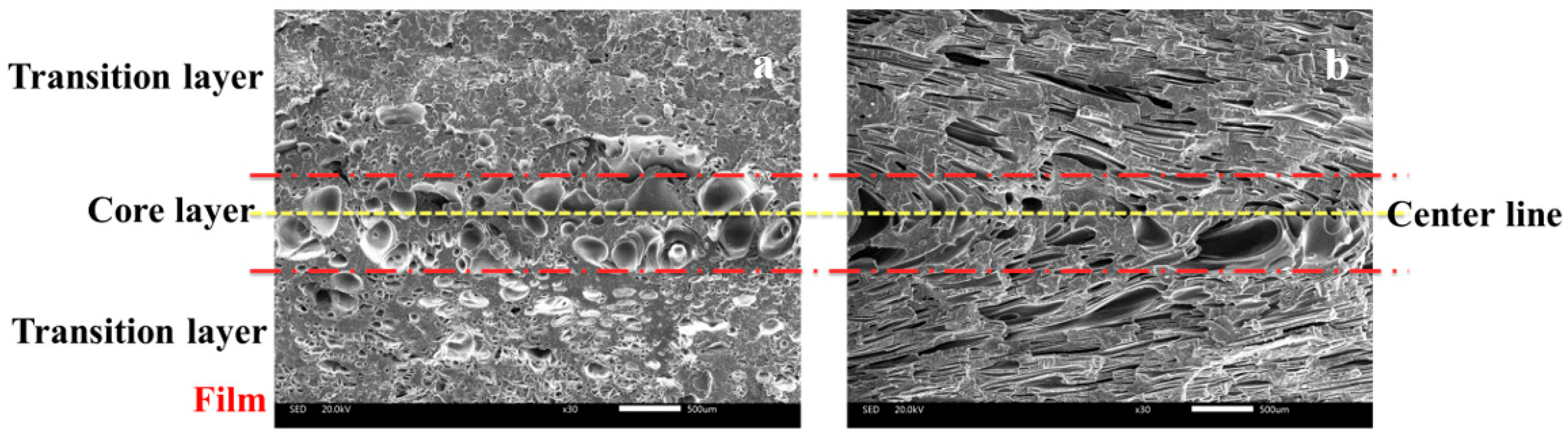 Polymers 12 00363 g009 Polymers 12 00363 g009