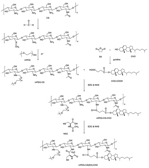 Polymers | Free Full-Text | A Chitosan-Based Micellar System as ...