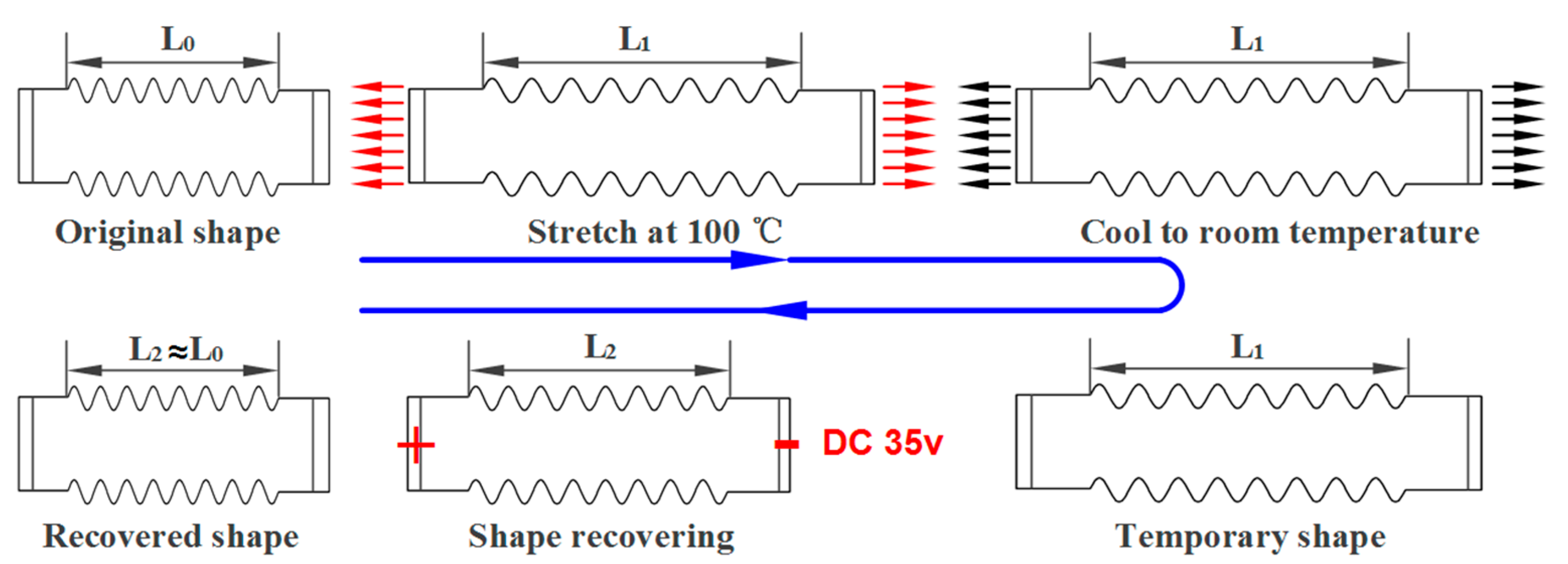 Polymers 12 00387 g002