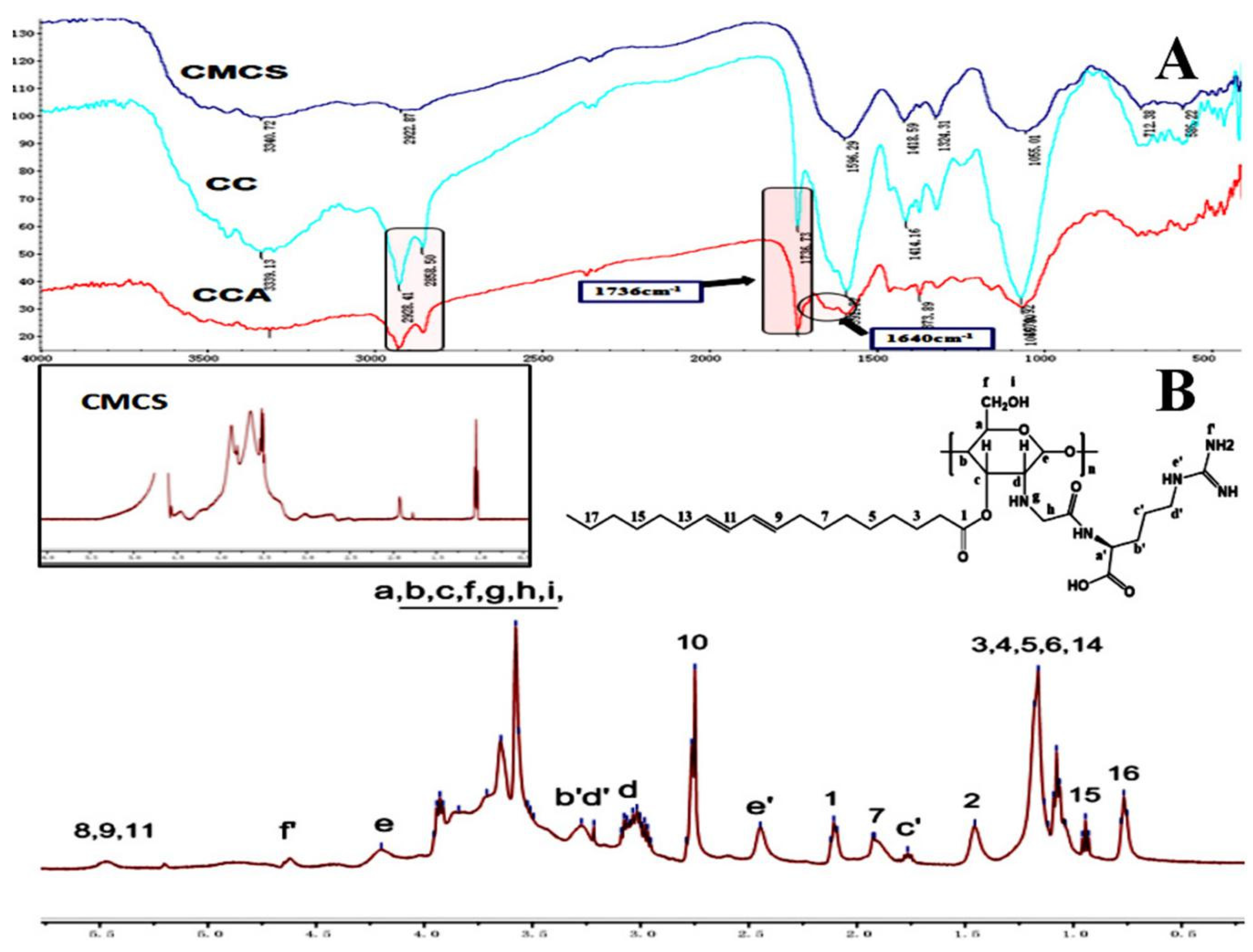 Polymers 12 00408 g002
