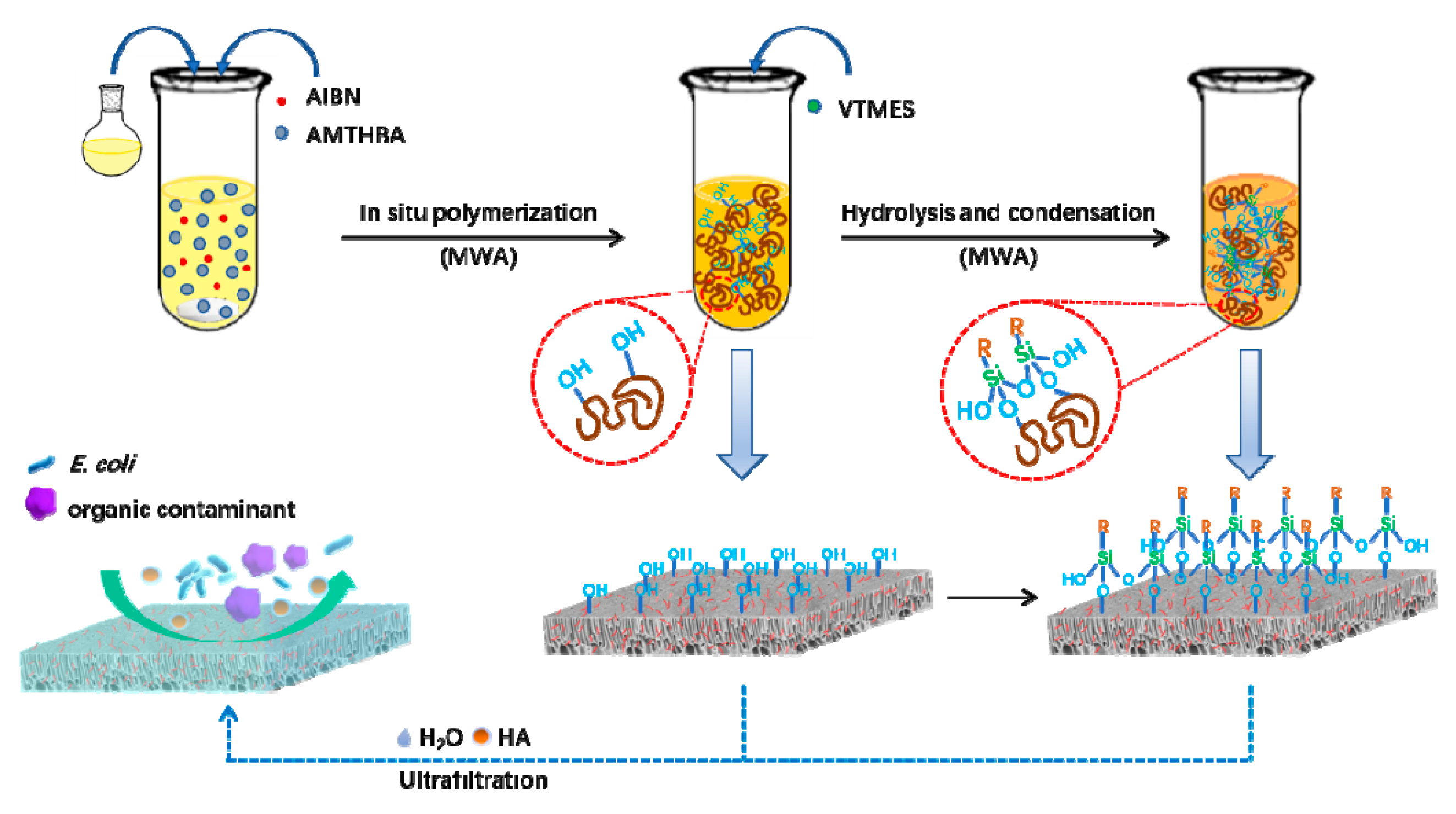 Polymers 12 00412 g002