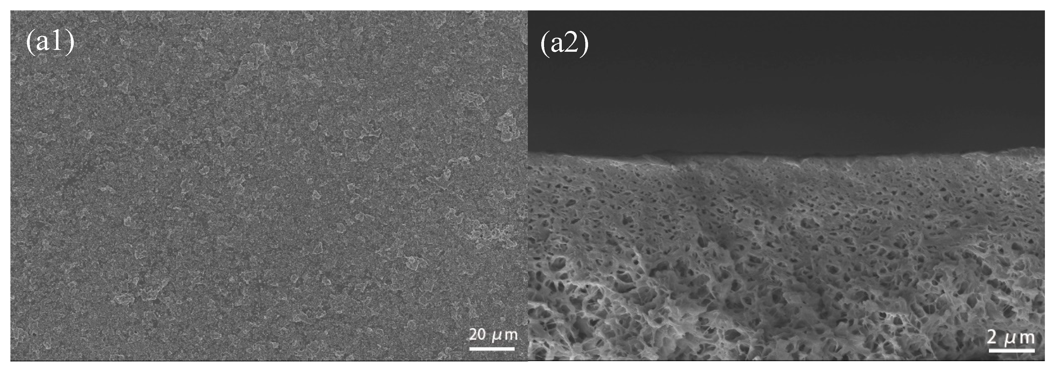 Polymers 12 00414 g005a Polymers 12 00414 g005a