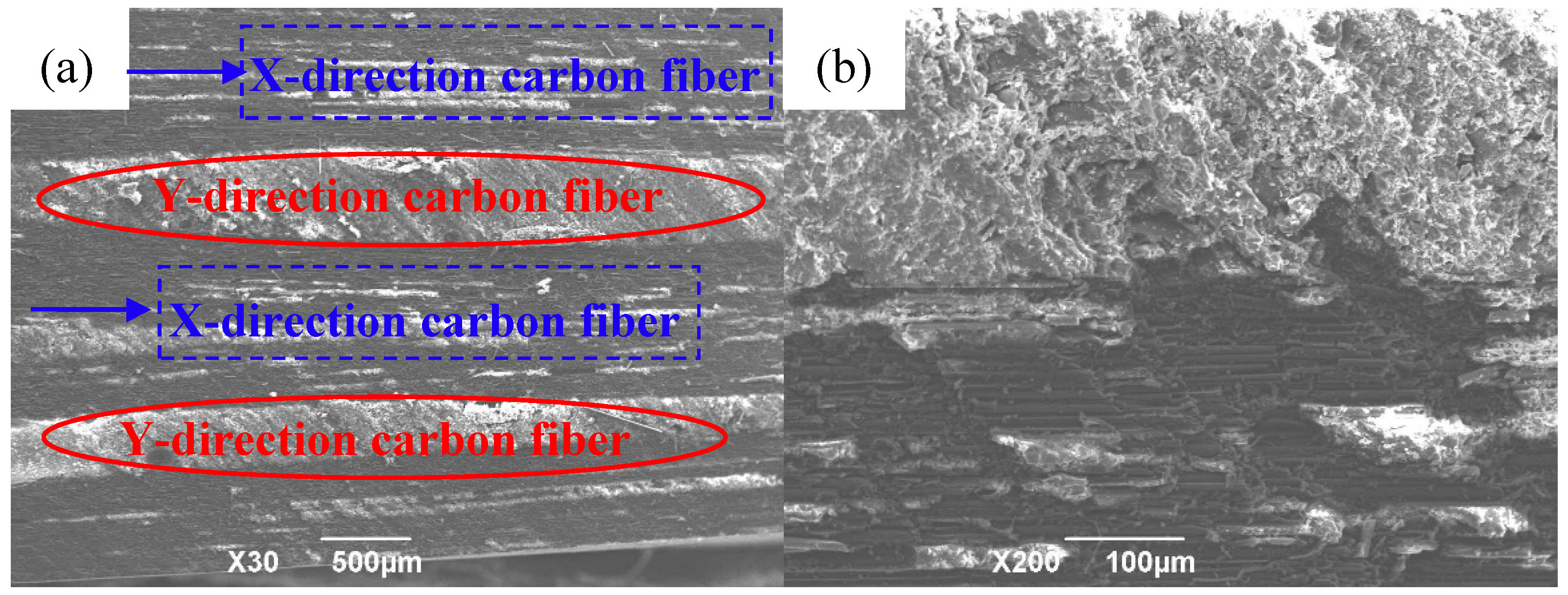 Polymers 12 00419 g009