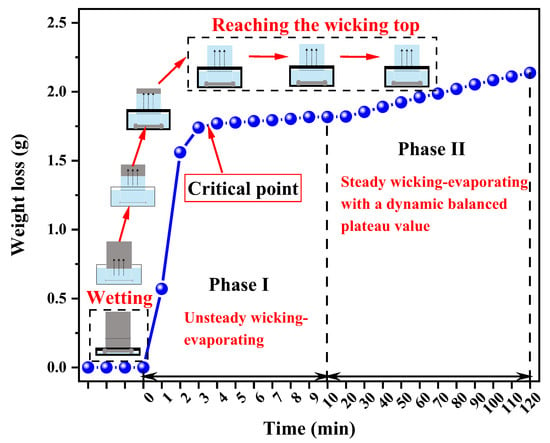 Water wicking and evaporating occur simultaneously in a typical