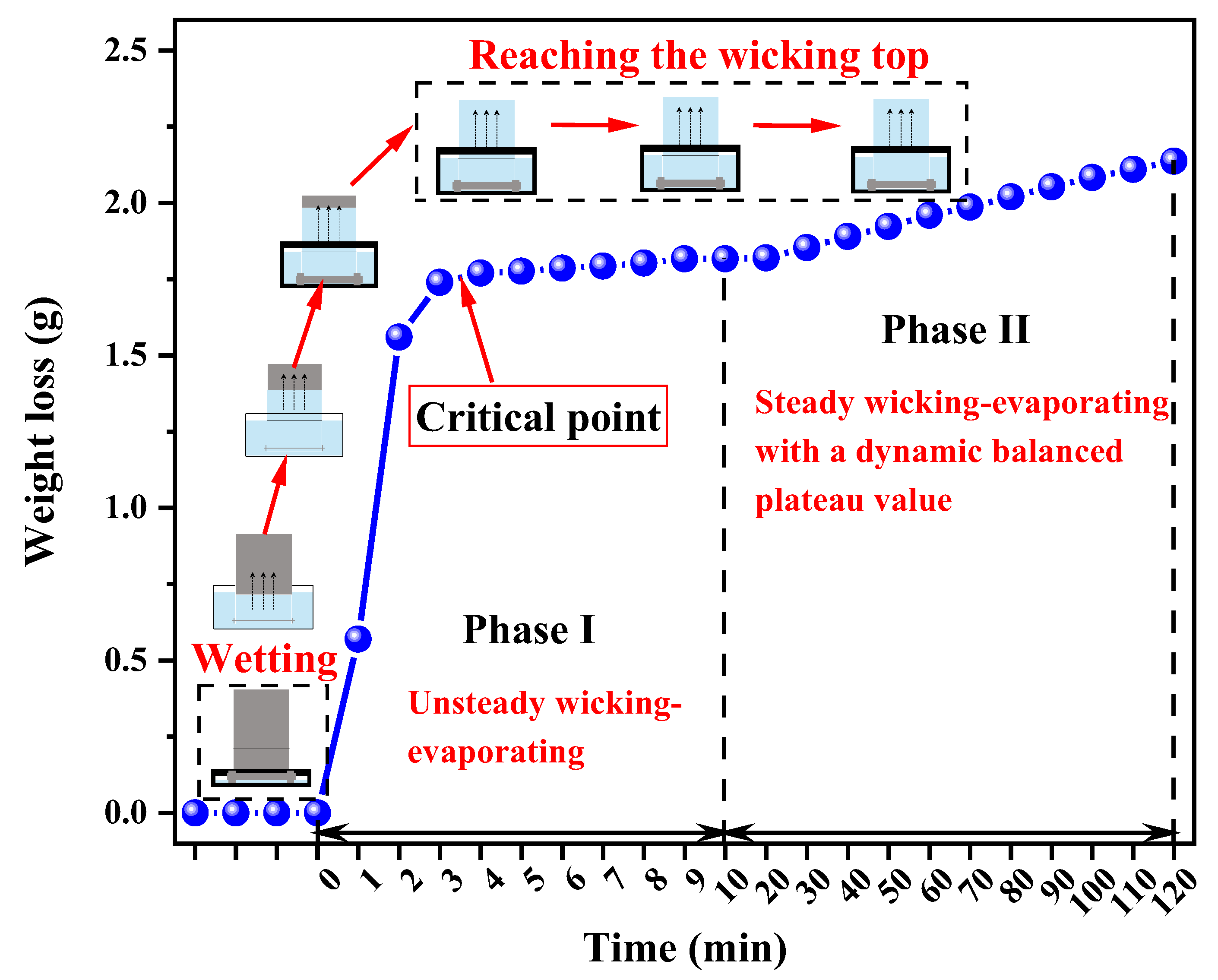 Polymers 12 00422 g005