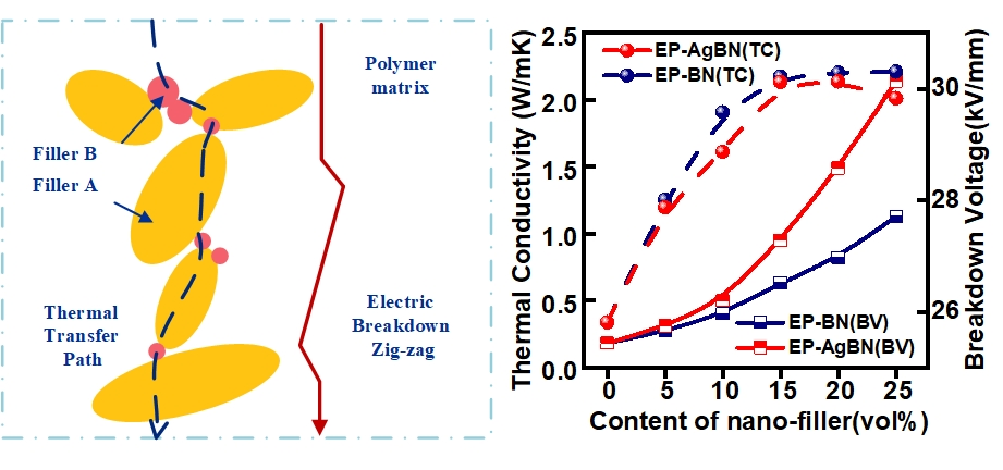 Polymers Free Full Text Synergistic Effects Of Boron Nitride Bn Nanosheets And Silver Ag Nanoparticles On Thermal Conductivity And Electrical Properties Of Epoxy Nanocomposites Html