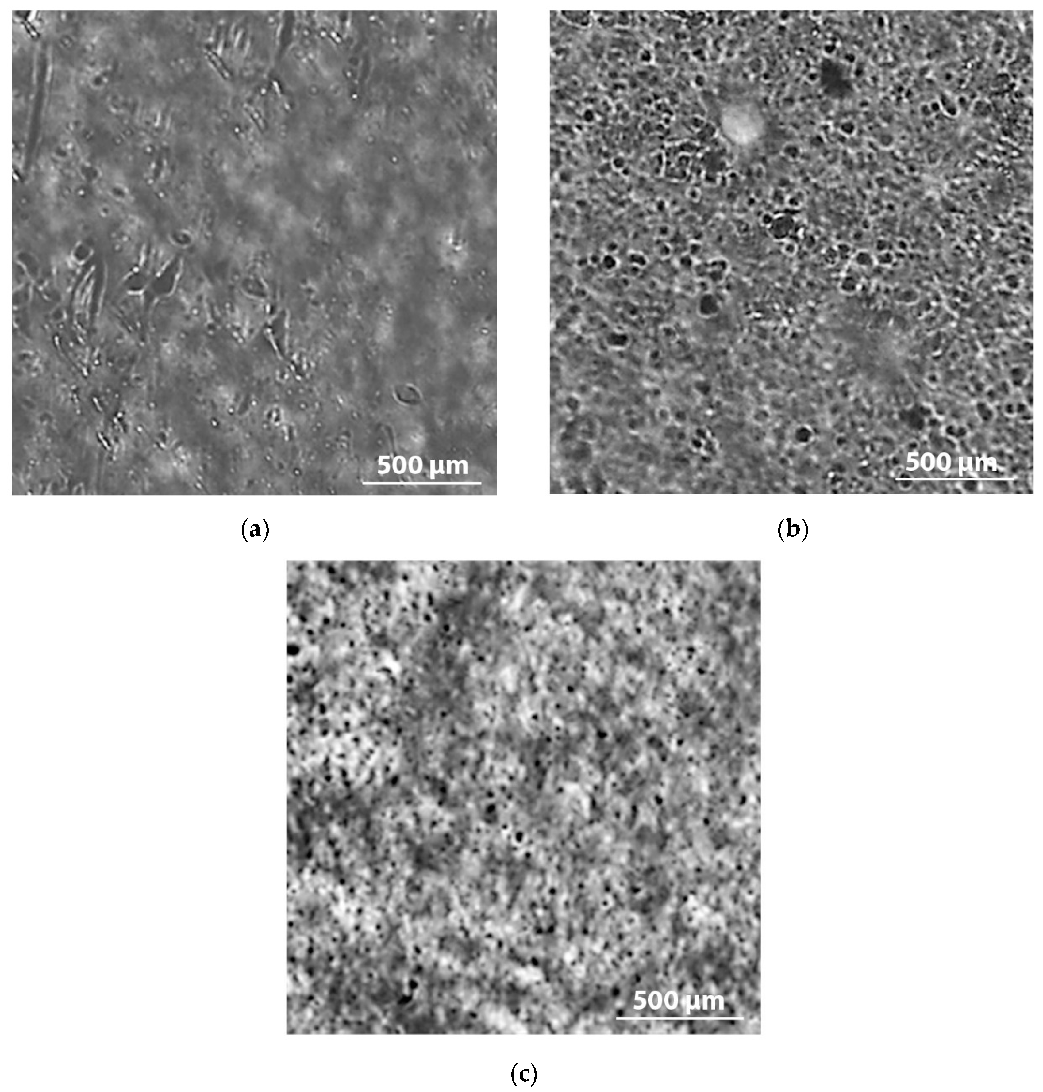 Polymers Free Full Text Effect Of Natural Rubber In Polyethylene Composites On Morphology Mechanical Properties And Biodegradability Html
