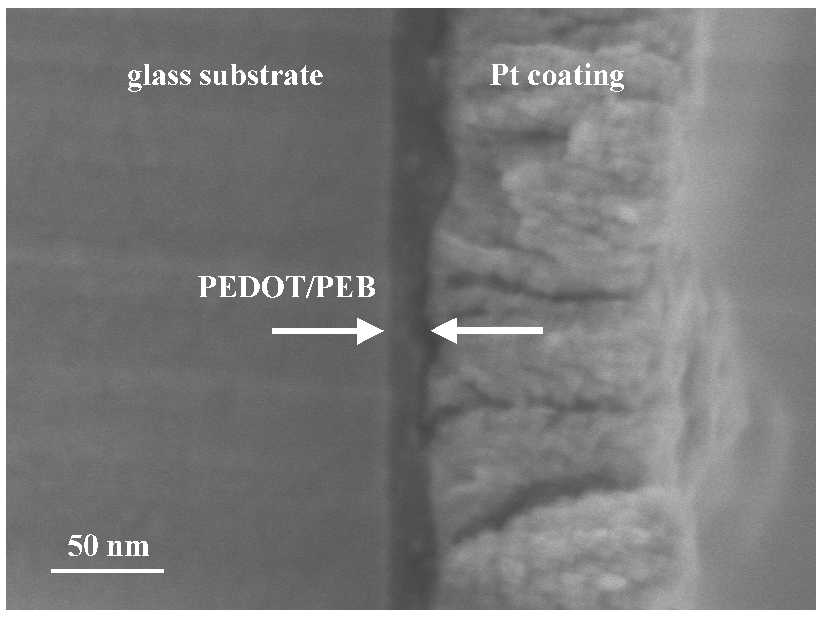 Polymers 12 00456 g002