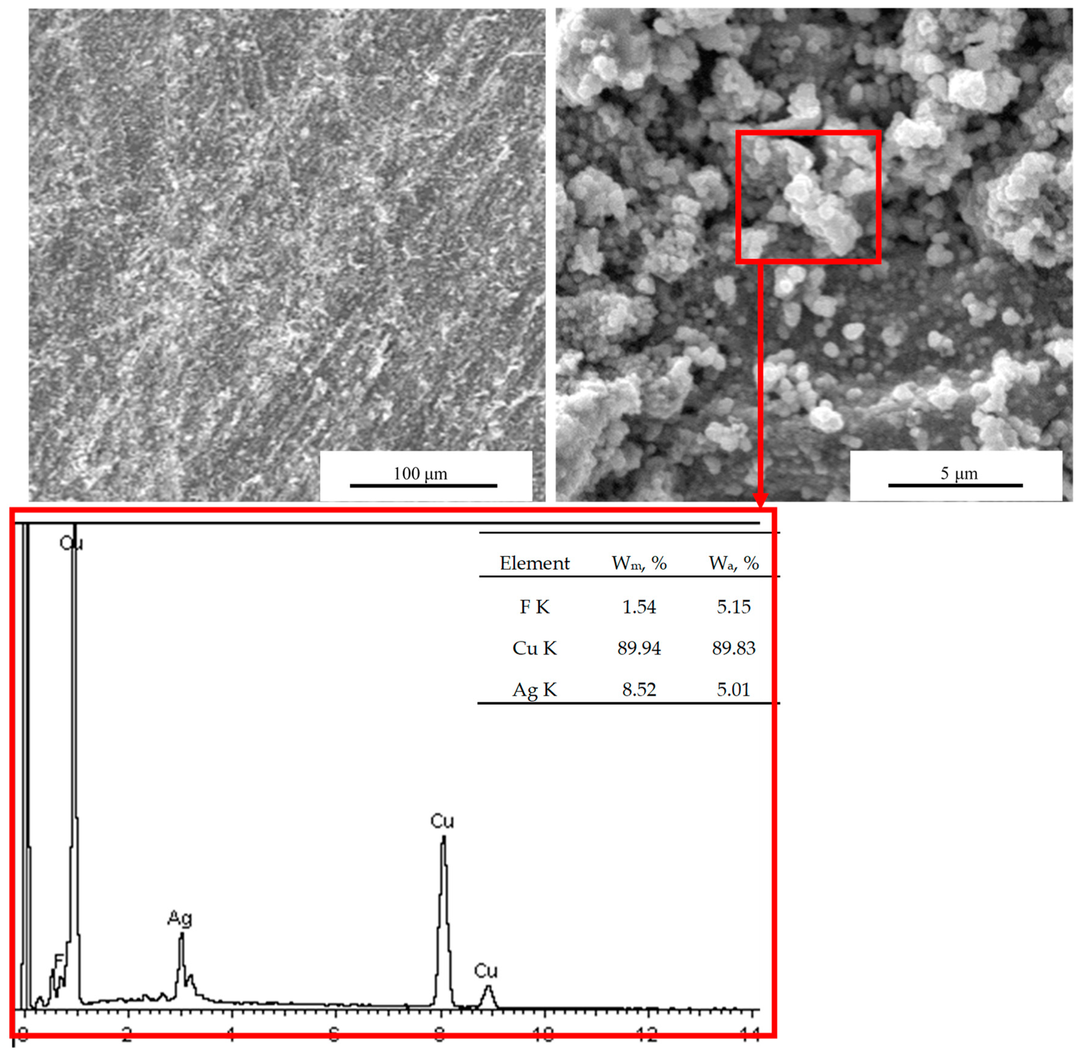 Polymers 12 00460 g001