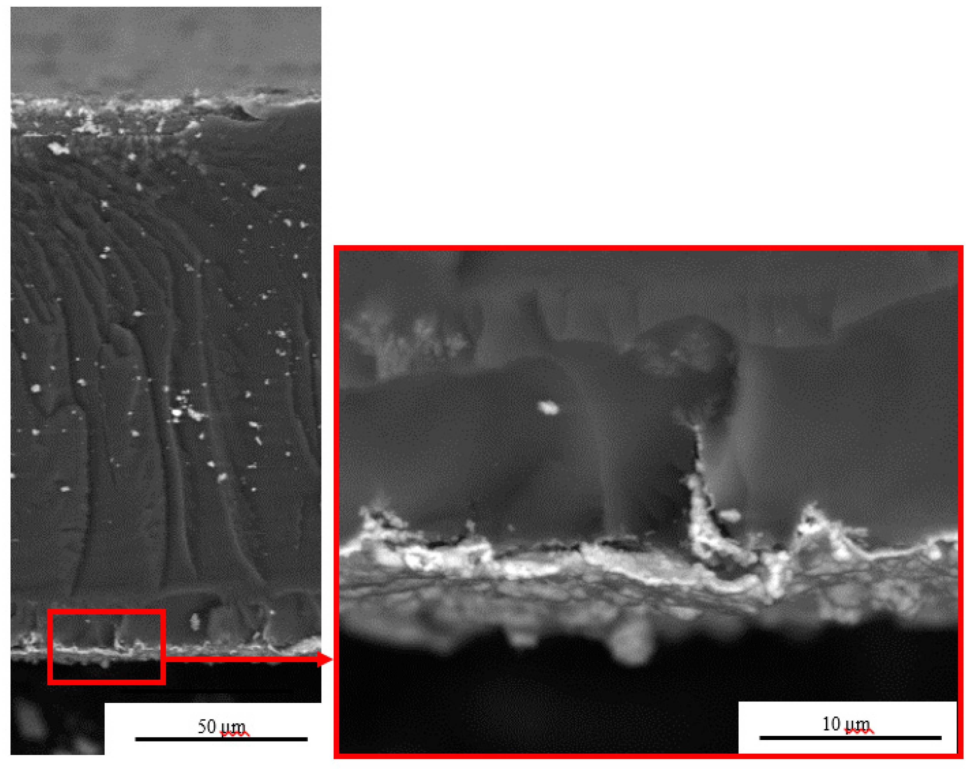 Polymers 12 00460 g002